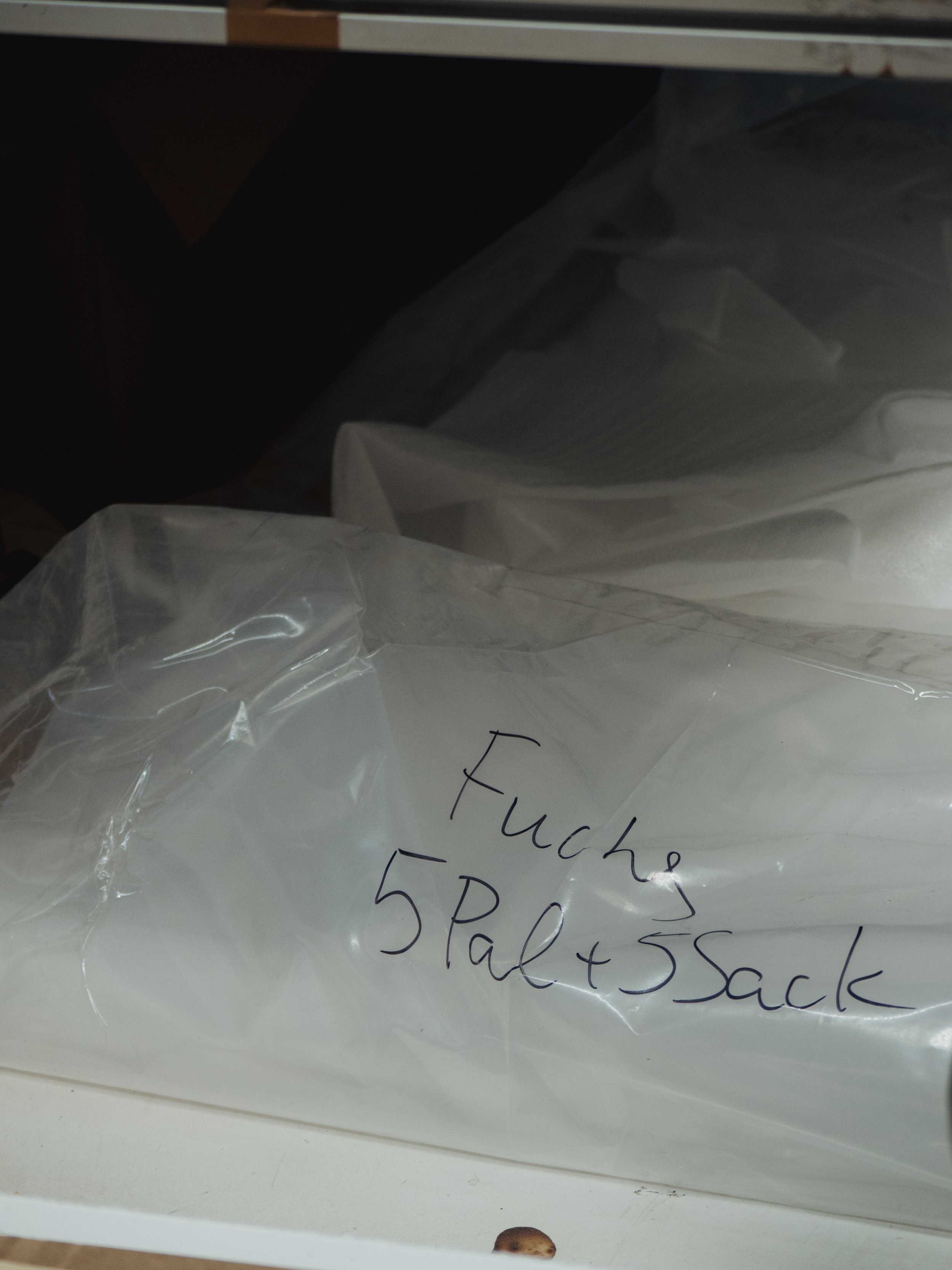 OhhHalla_FuchsAndFriends_Preview-88.jpg