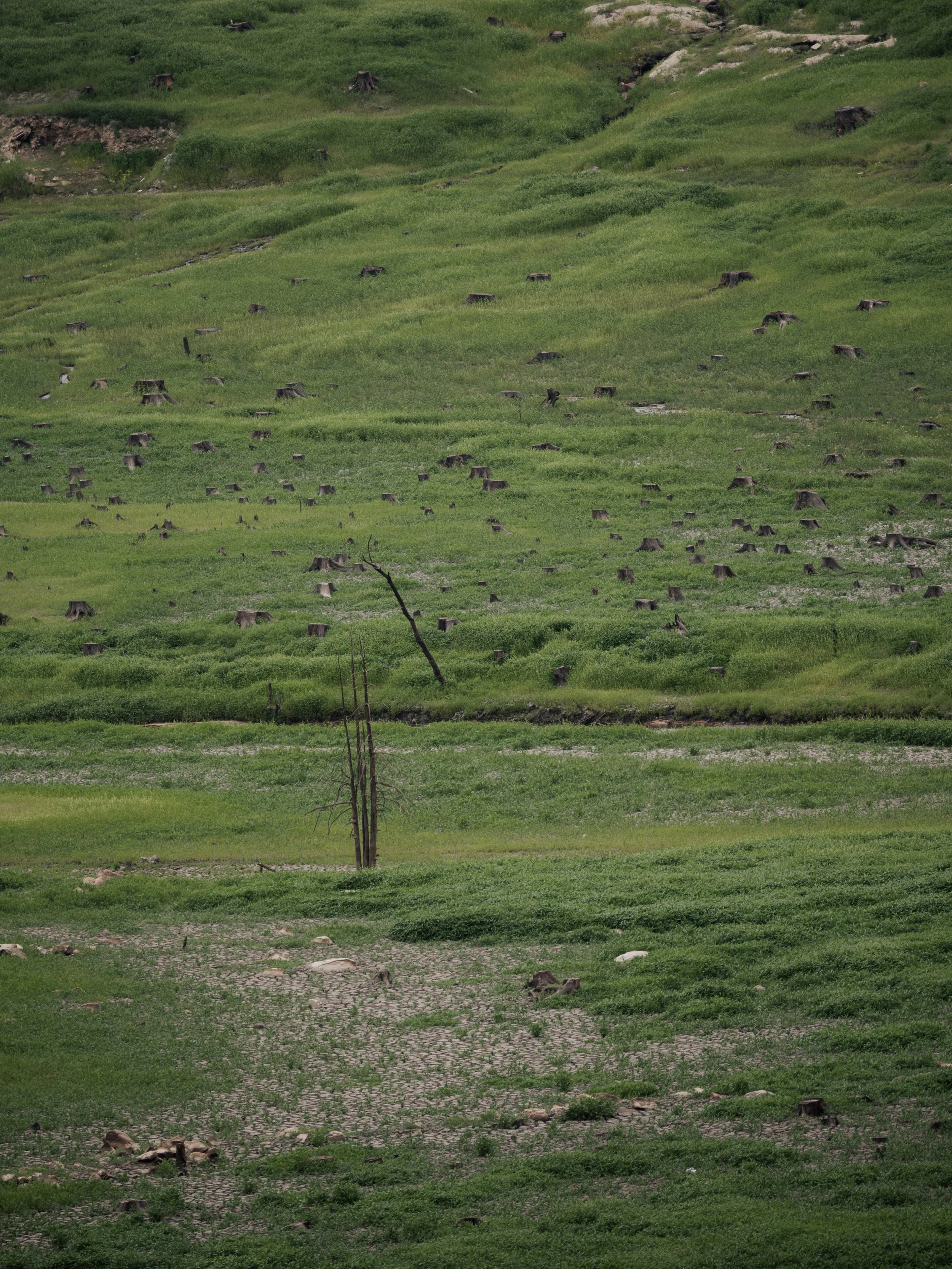 OhhHalla_Niklas_Desert-146.jpg