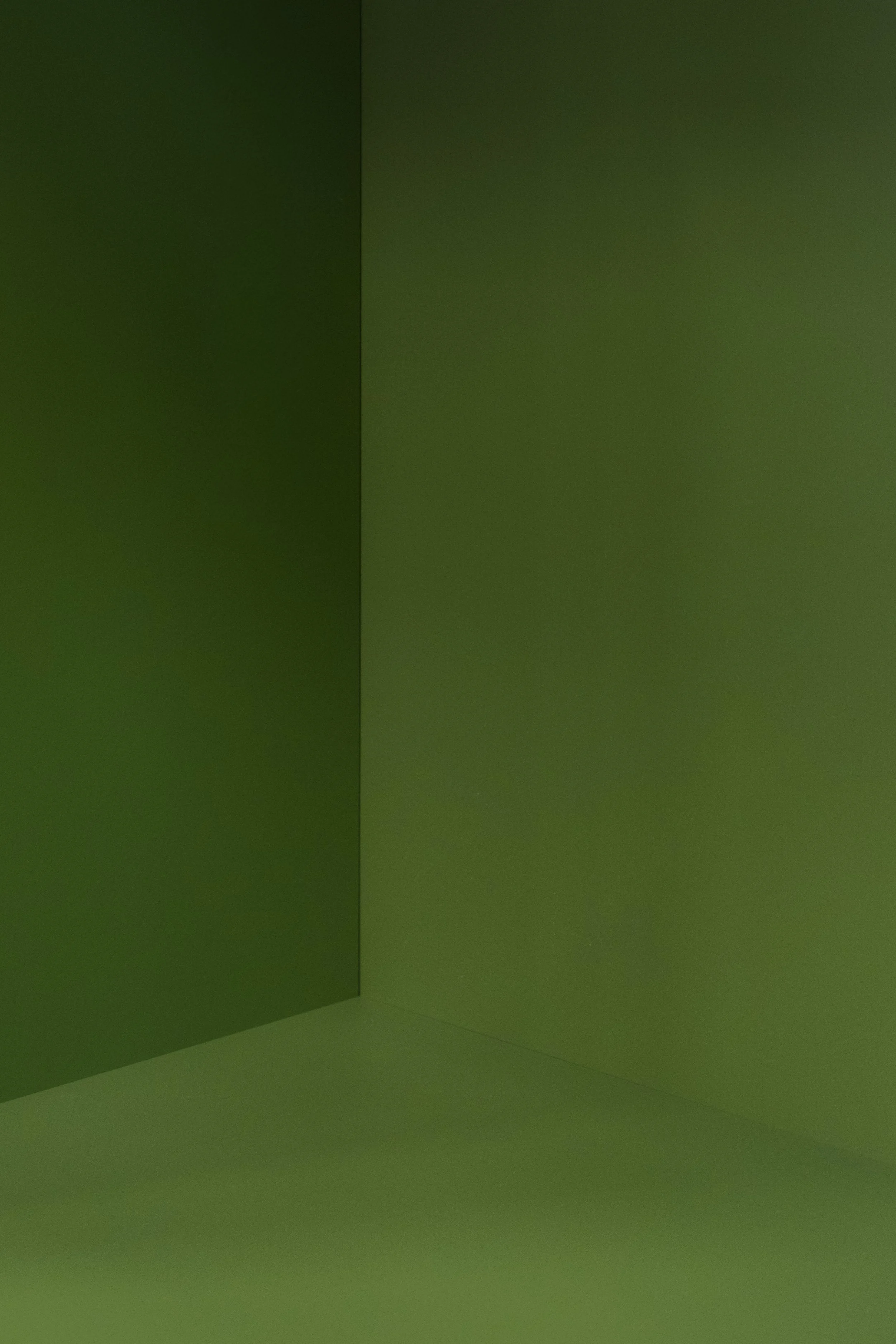OhhHalla_ZK_260218-15.jpg