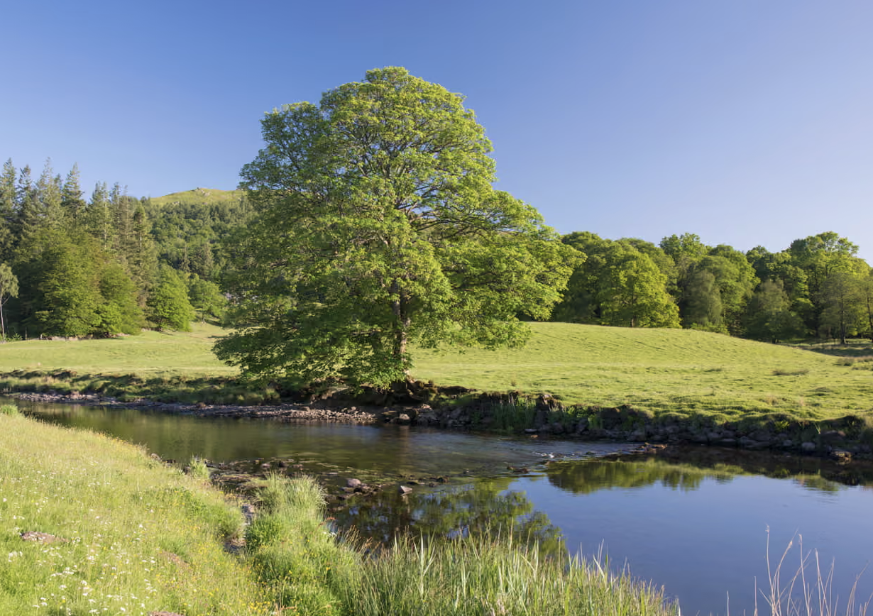 Race to find source of carcinogenic Pfas