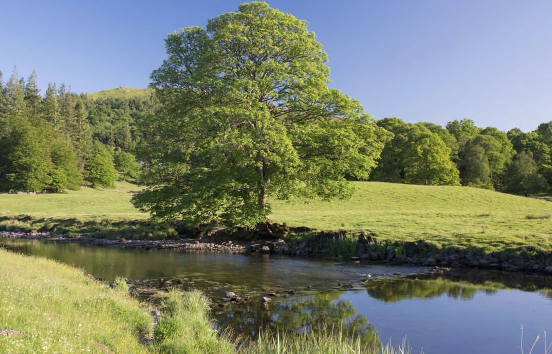 Cumbria and Lancashire: Race to find carcinogenic PFAs