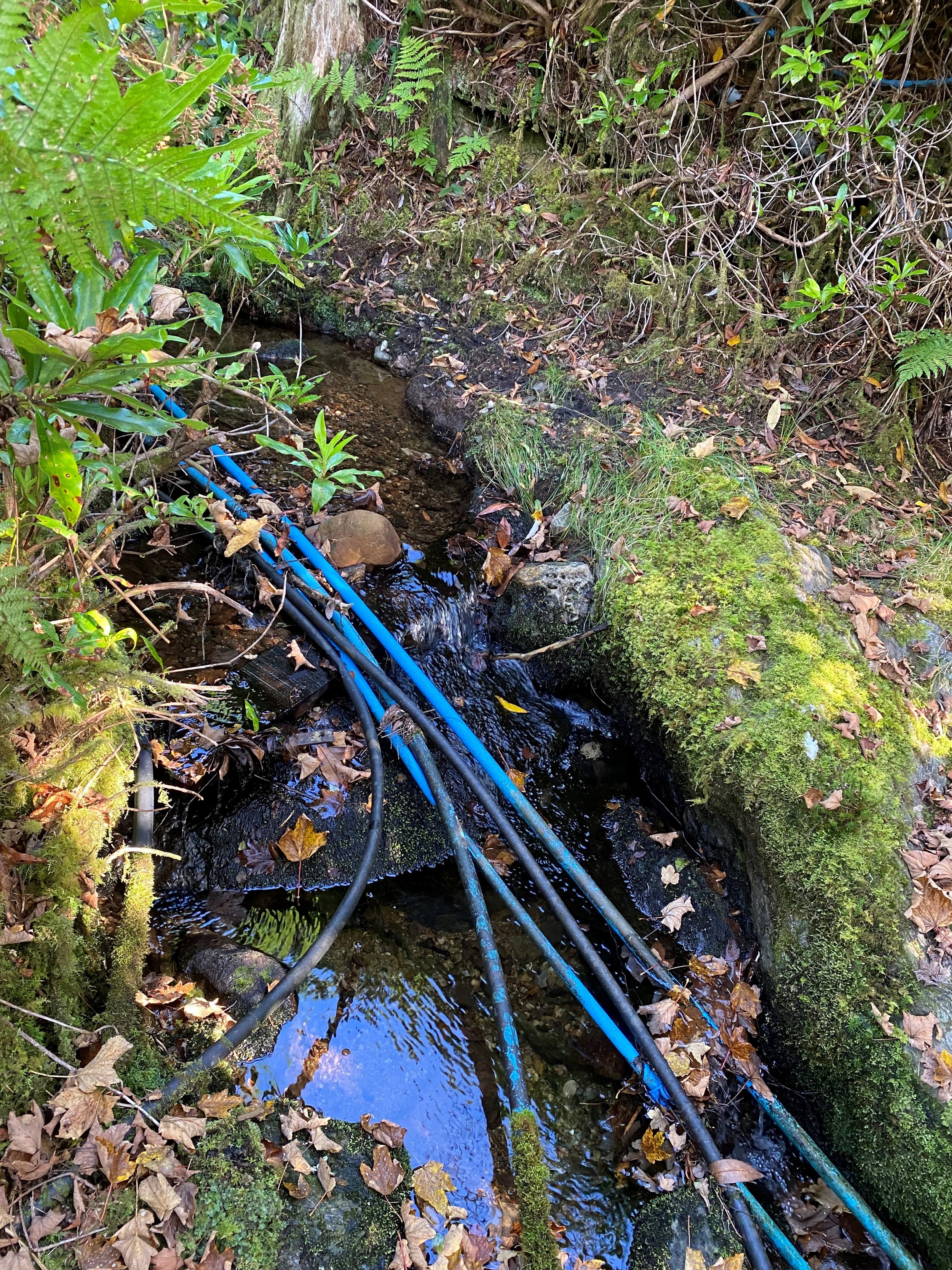 Photo credit: Elizabeth Lawson