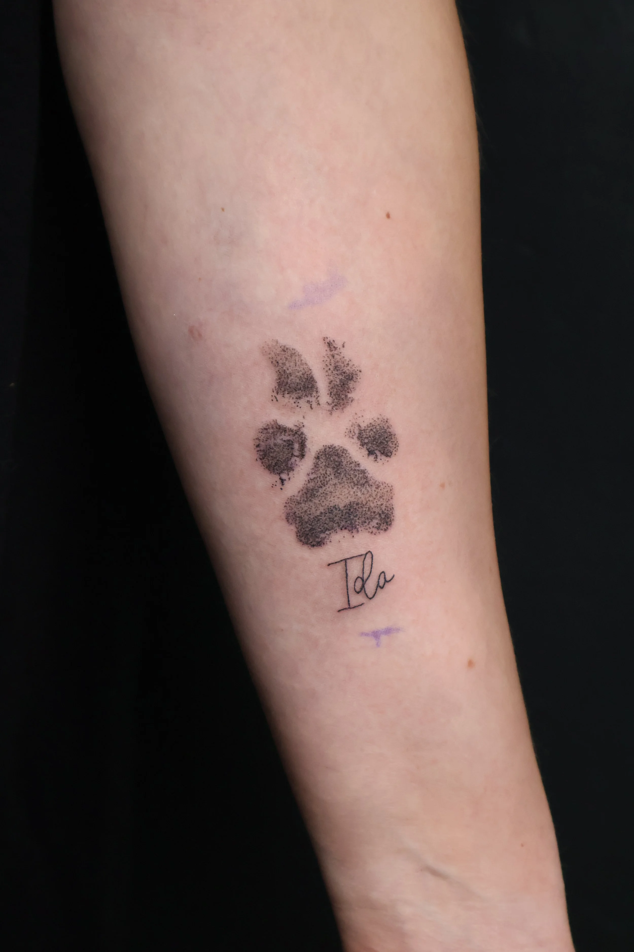 Tattoo of a bear paw print with the name 'Ila' written in cursive underneath on someone's forearm.