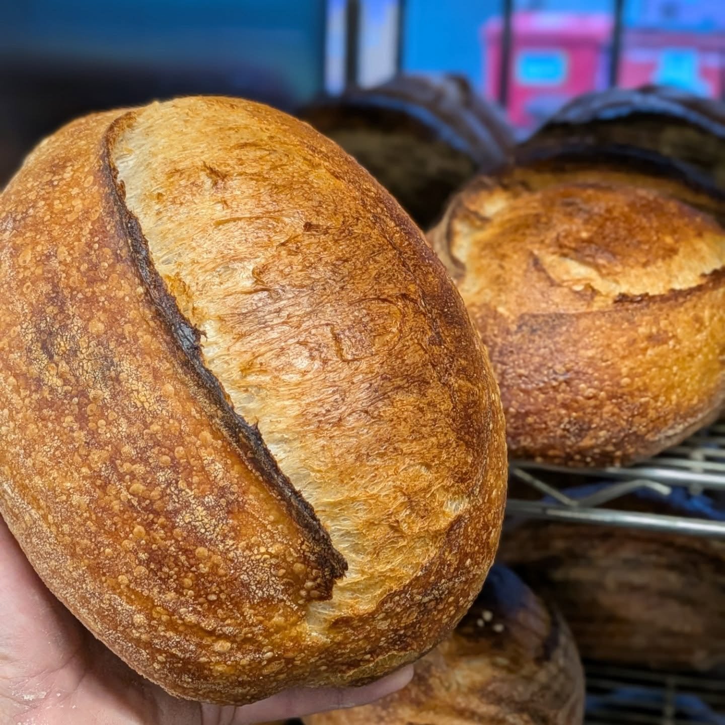 📸 Today's bread

👉 📸 Tomorrow's bread