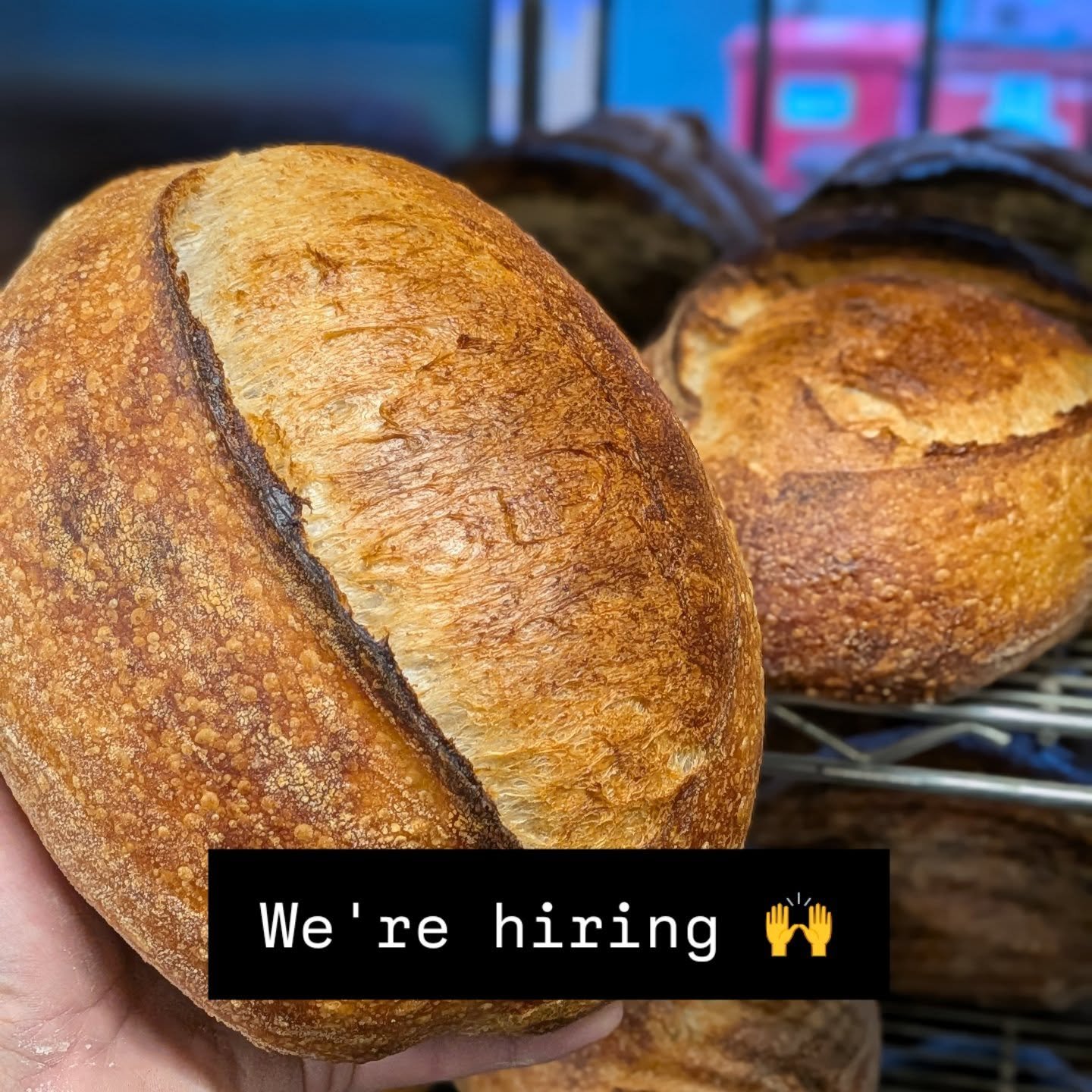 Baker wanted 👀

We&rsquo;re looking for a baker to join us at Bakehouse Born &amp; Bread.

Bread, cakes, or both&mdash;we&rsquo;re open. If you&rsquo;re strong in one, we&rsquo;ll help you build the other.

Good ingredients, proper technique, and ro