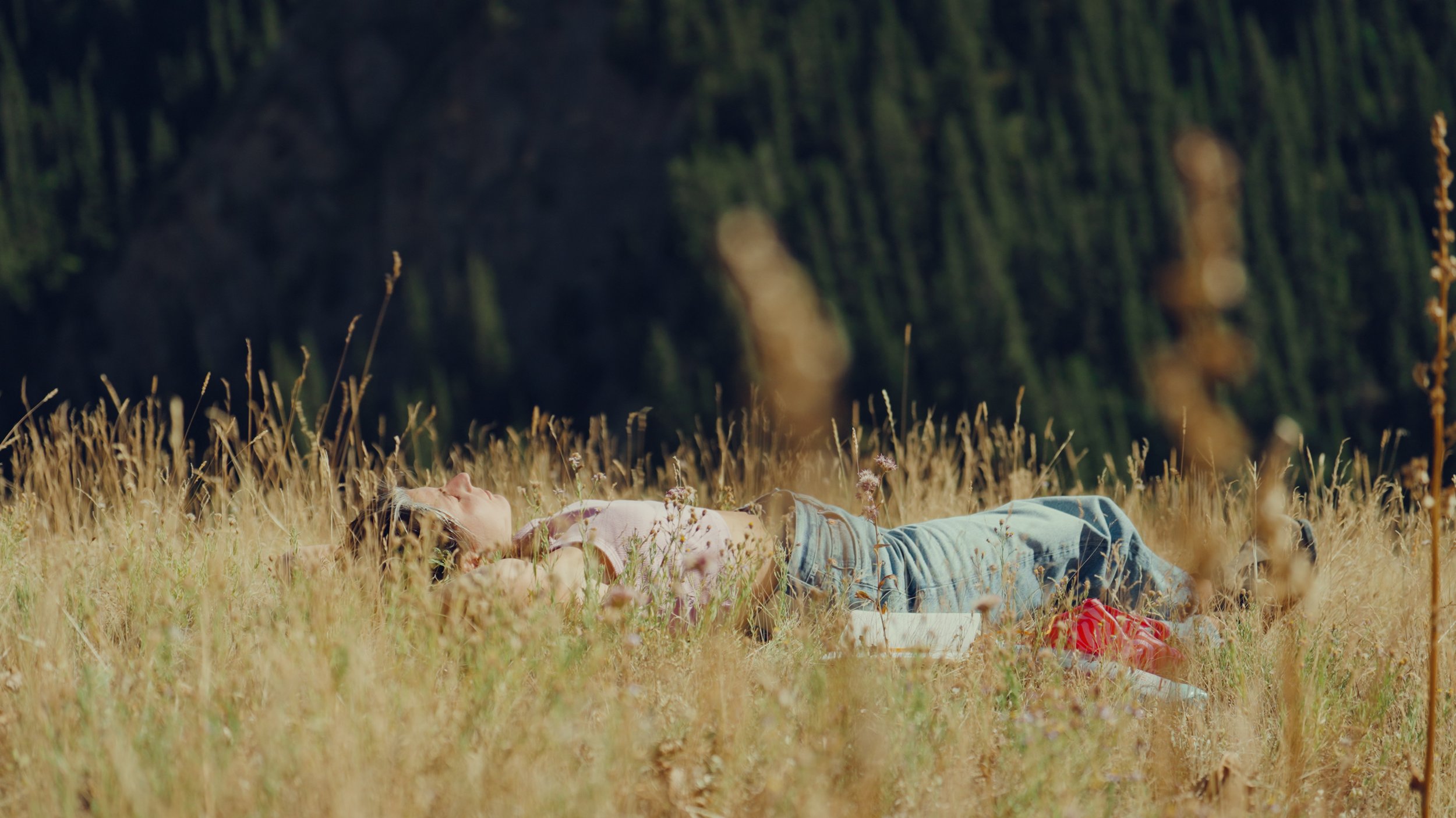 Ultimate Filter.00_24_55_16.Still022.jpg