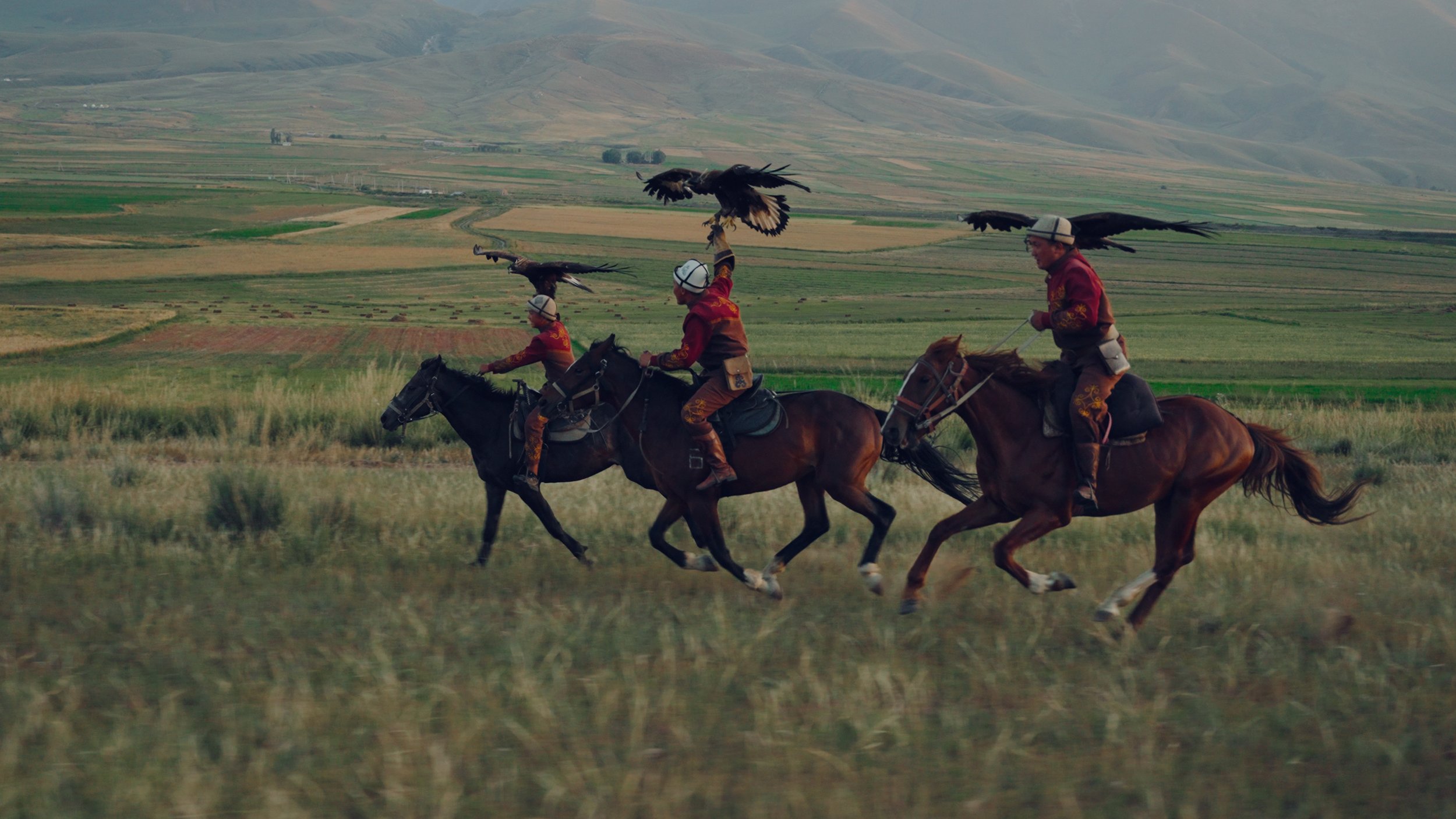 Frames for Yes Website.00_04_39_10.Still008.jpg