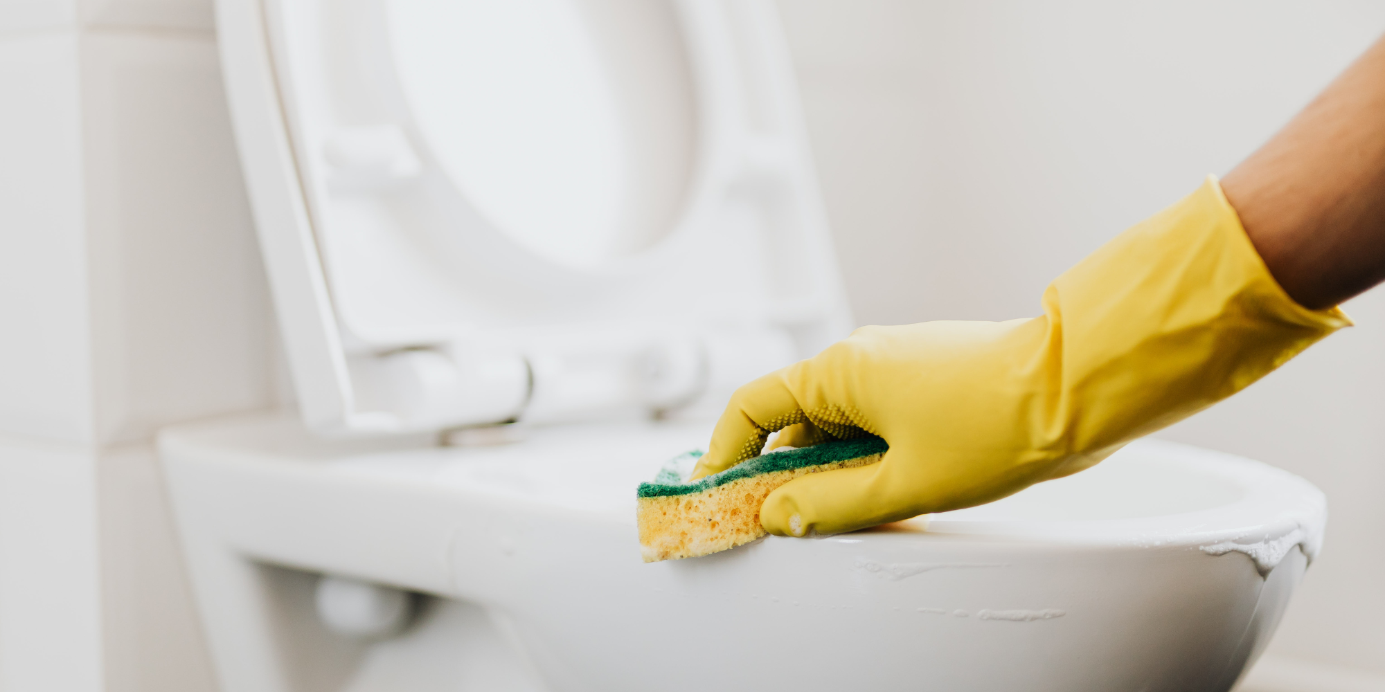 House Cleaning Service Near Me