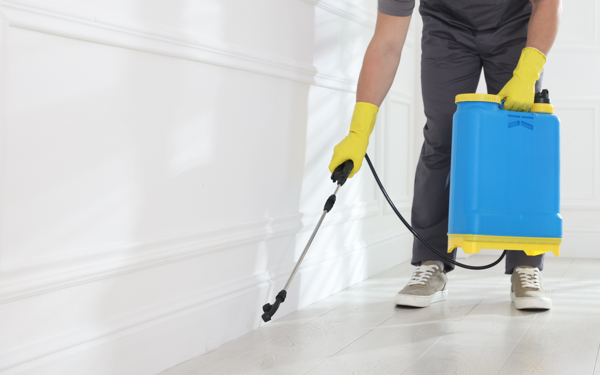 How to Keep Pet Hair and Odors Under Control at Home