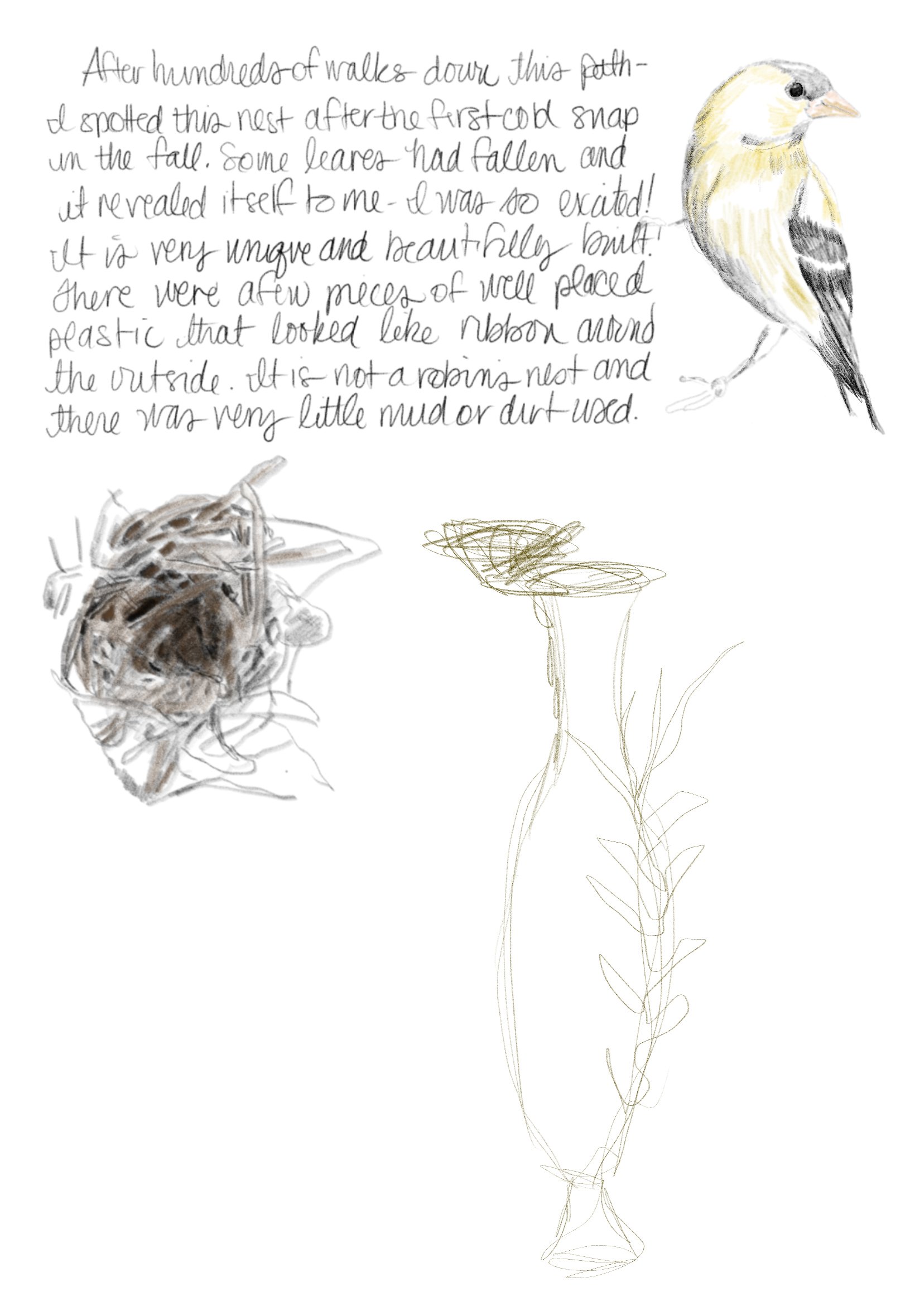 Notes.1- November 13, 2025 11.51.JPG