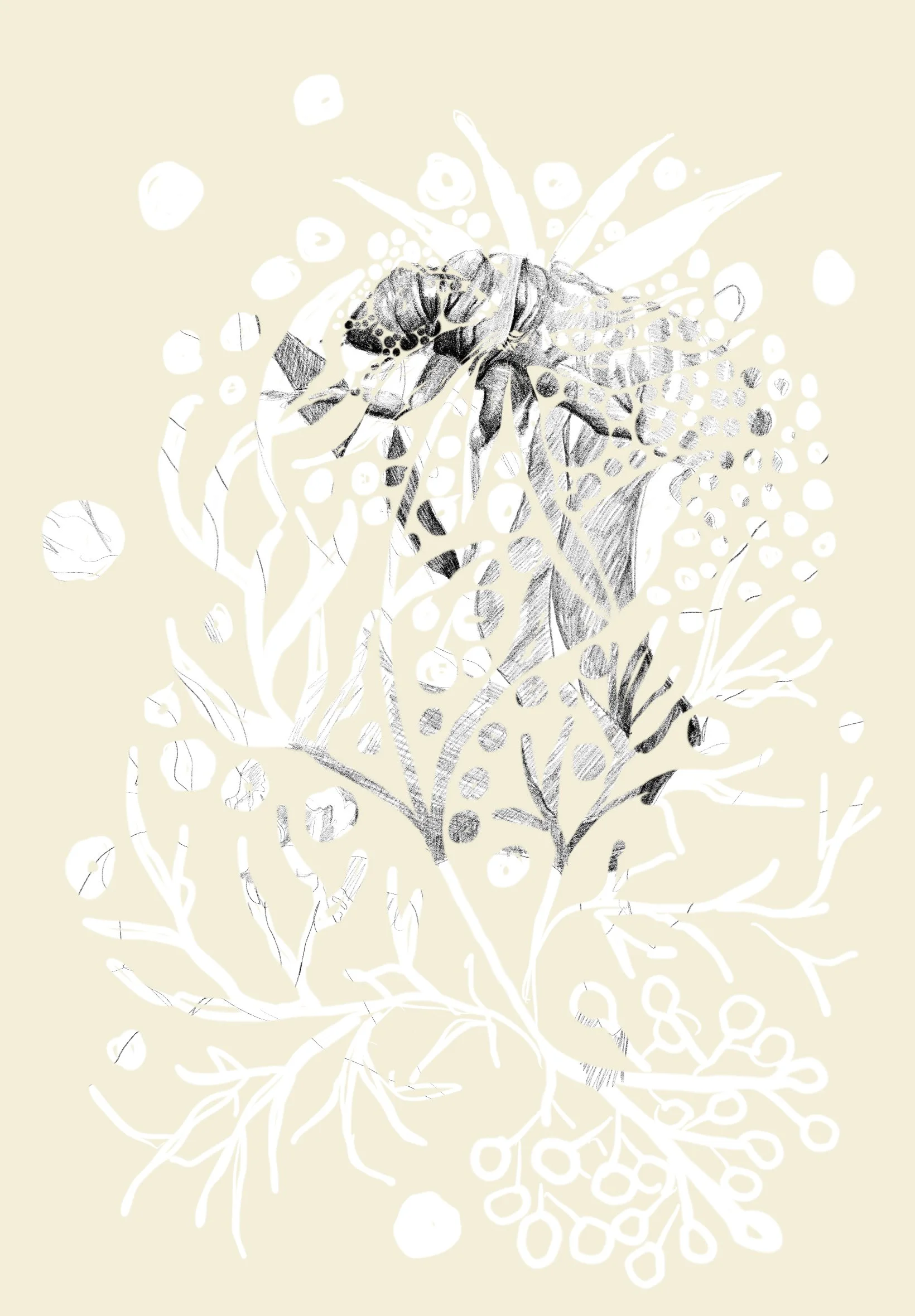 Untitled - February 22, 2026 10.10.jpeg