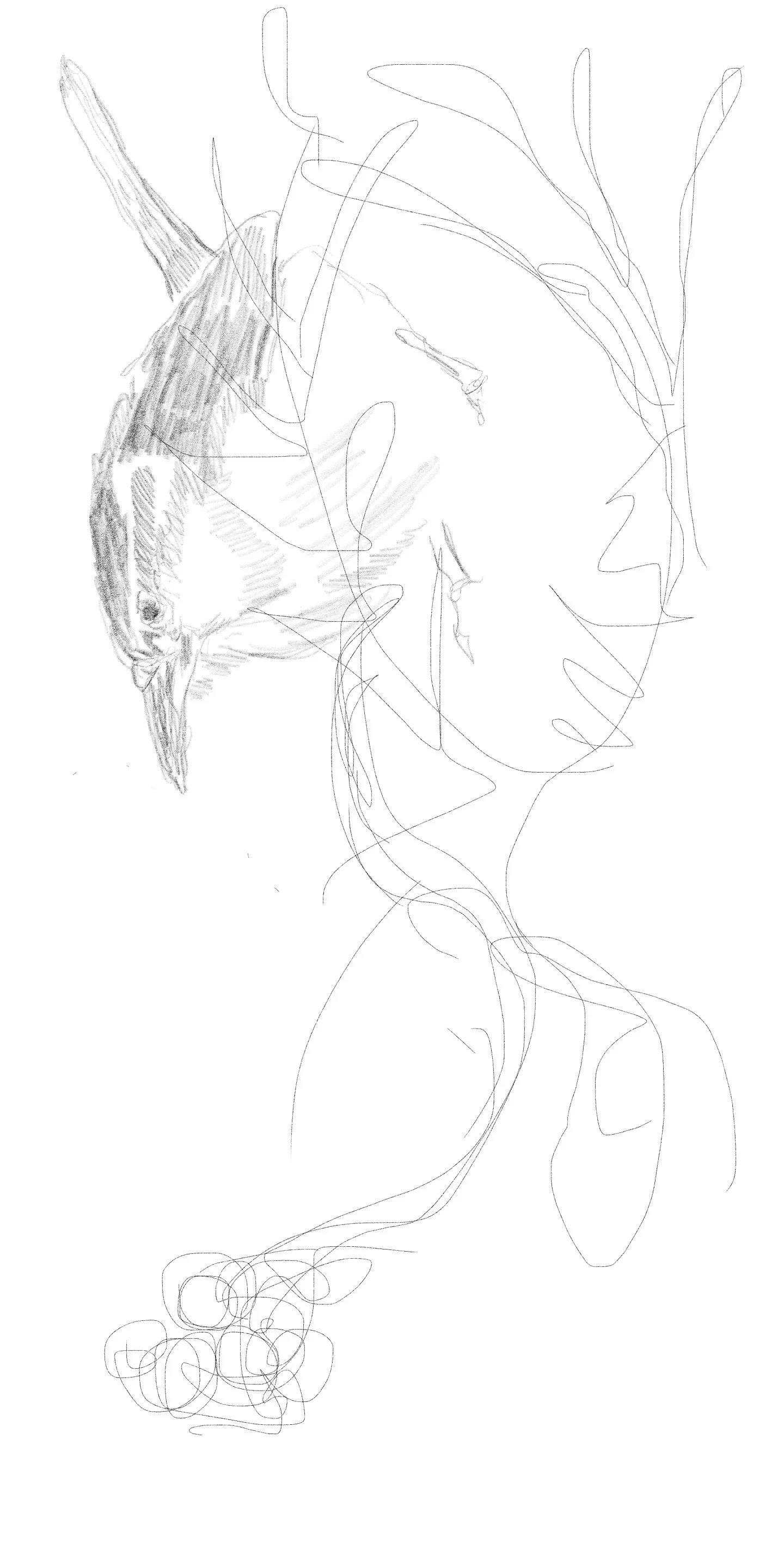 Untitled - February 3, 2026 09.03.jpeg