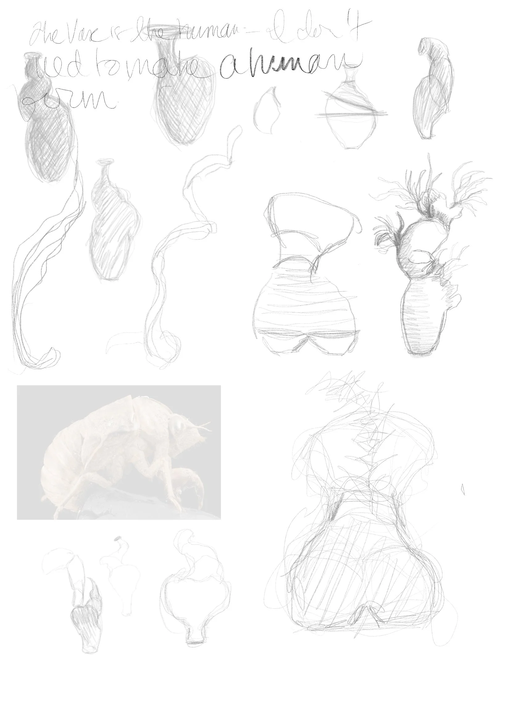 Untitled - November 21, 2025 16.44.jpeg