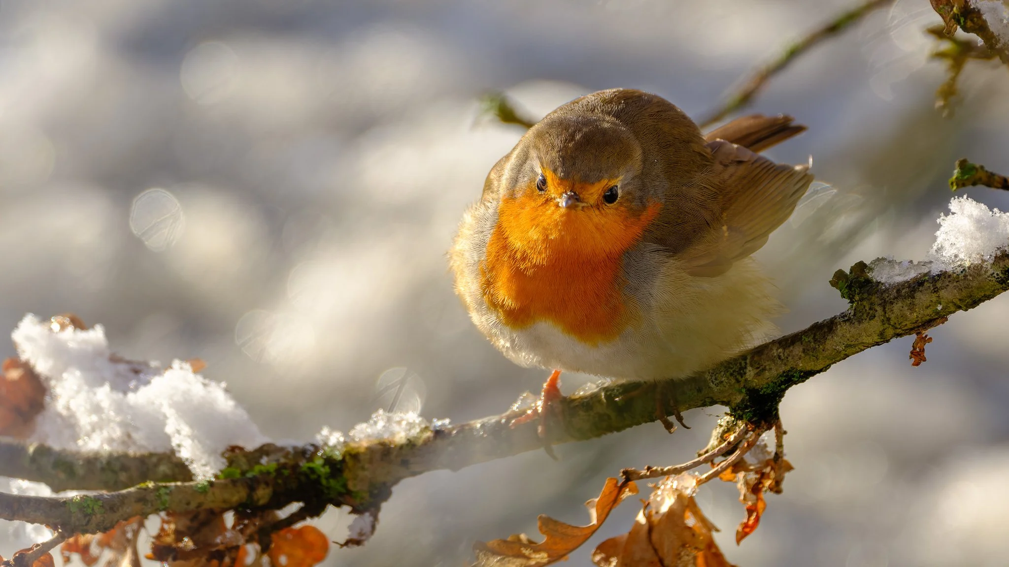 XH2O0213-DxO_DeepPRIME XD3 X-Trans.jpg