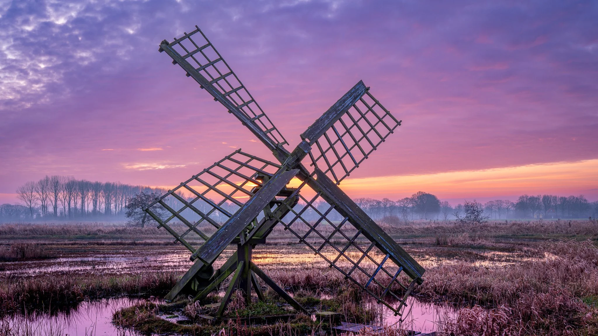 XT5C6632-DxO_DeepPRIME XD2s-HDR-2.jpg