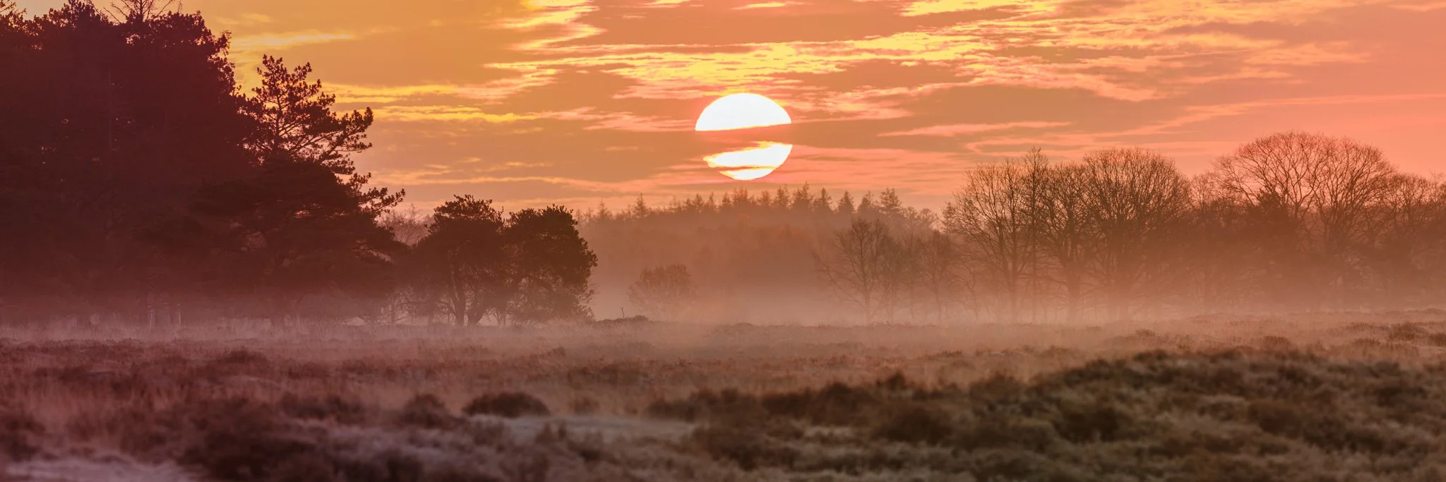 XH204103-DxO_DeepPRIME XD3 X-Trans-Pano.jpg