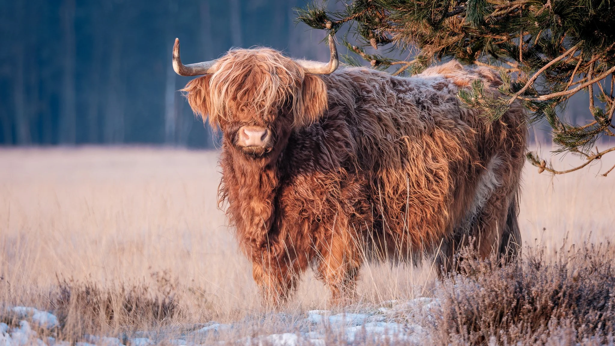 XS201639-DxO_DeepPRIME XD2s.jpg