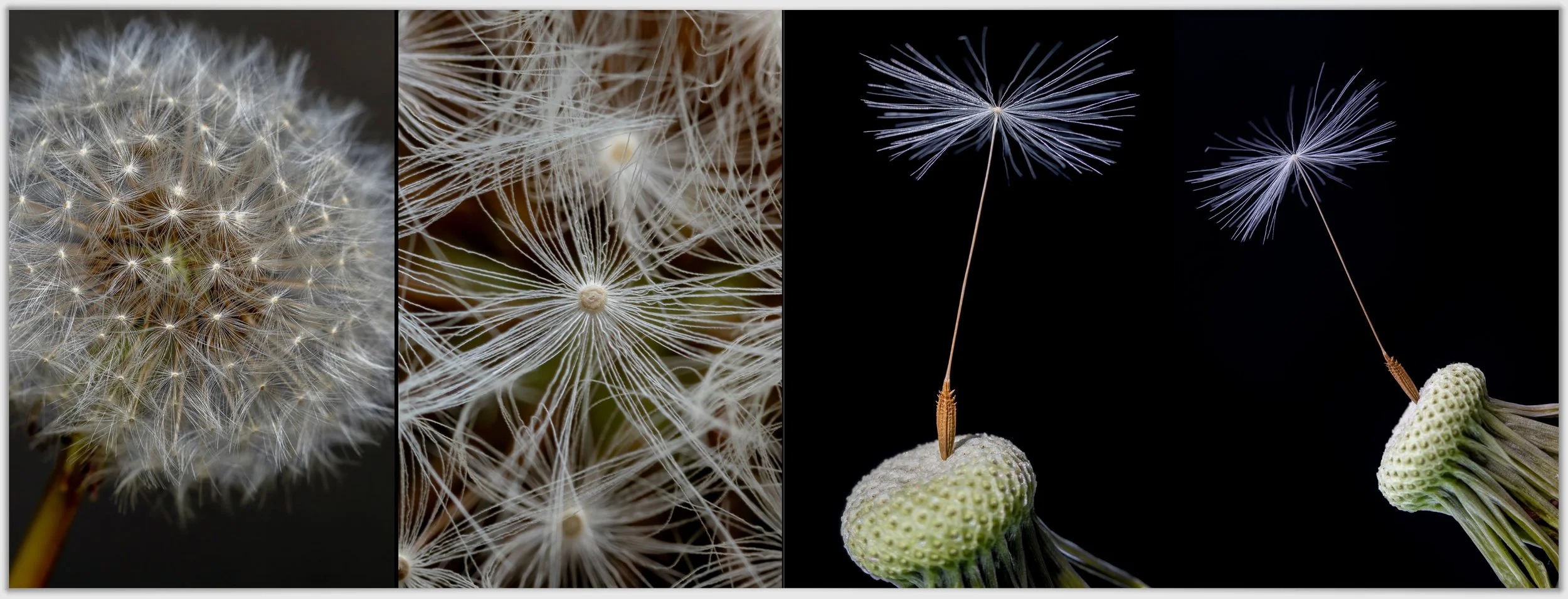 Schermafbeelding 2026-01-24 124053.jpg