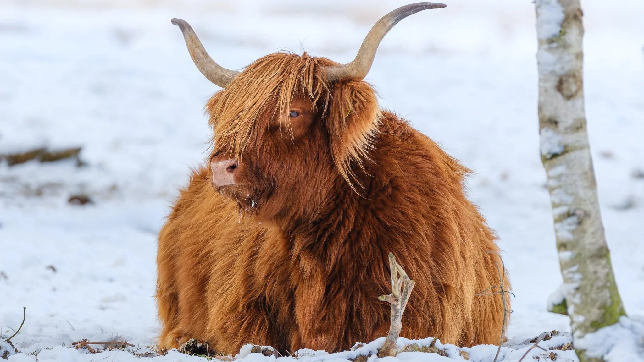 XH2O1568-DxO_DeepPRIME XD3 X-Trans.jpg