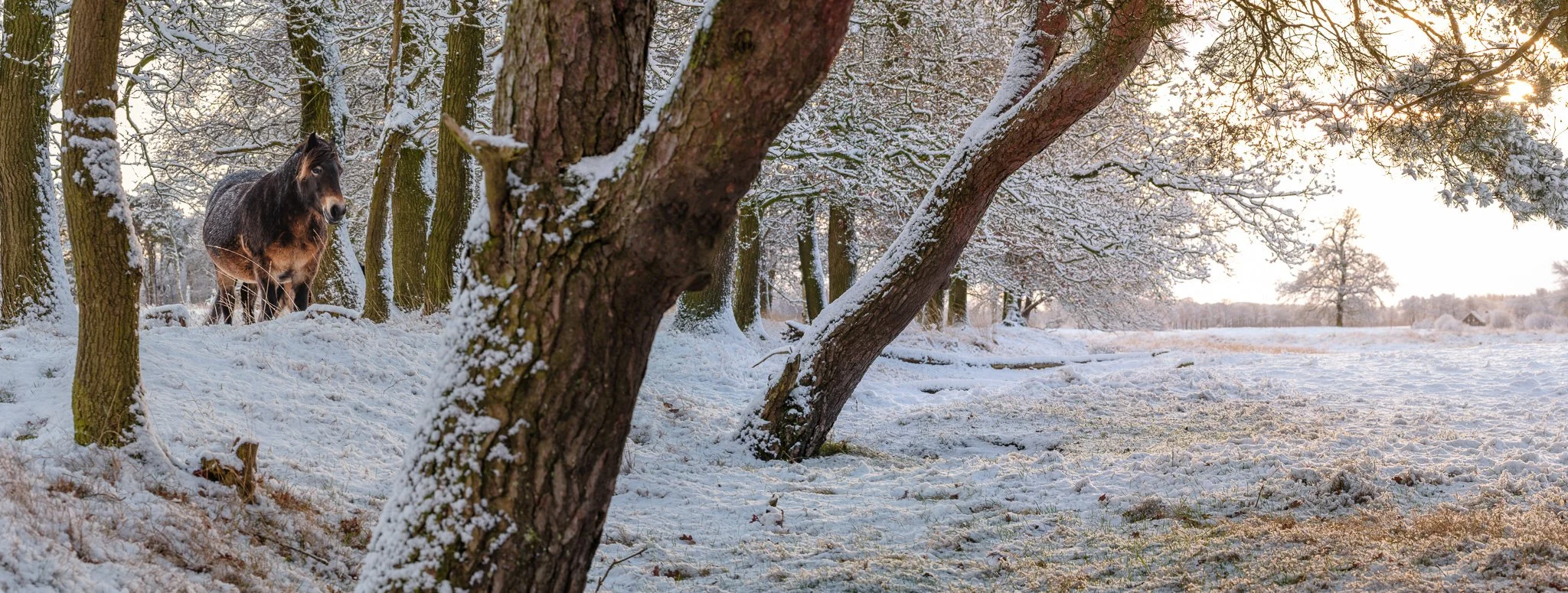 XT5X3940-DxO_DeepPRIME XD3 X-Trans-Pano.jpg