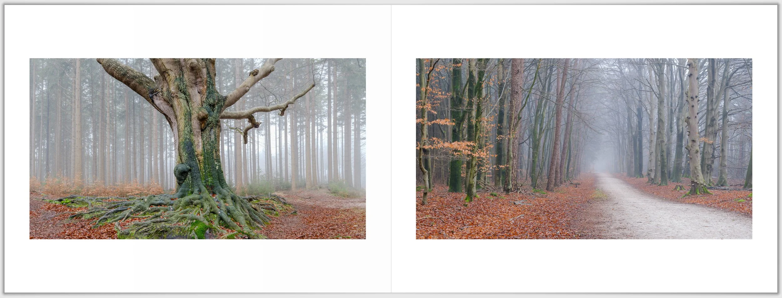 Schermafbeelding 2026-01-24 124440.jpg