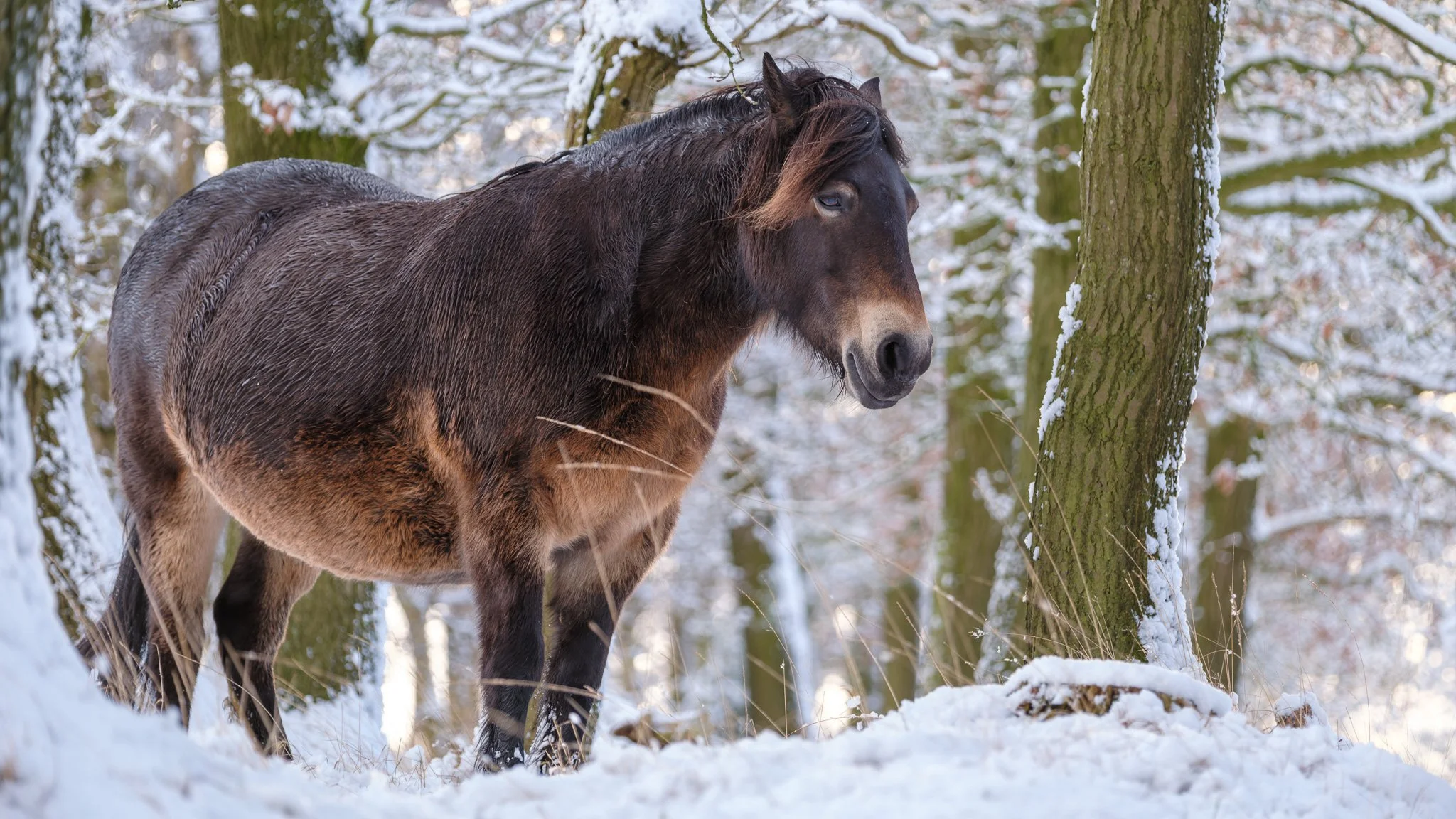 XT5X4038-DxO_DeepPRIME XD3 X-Trans.jpg