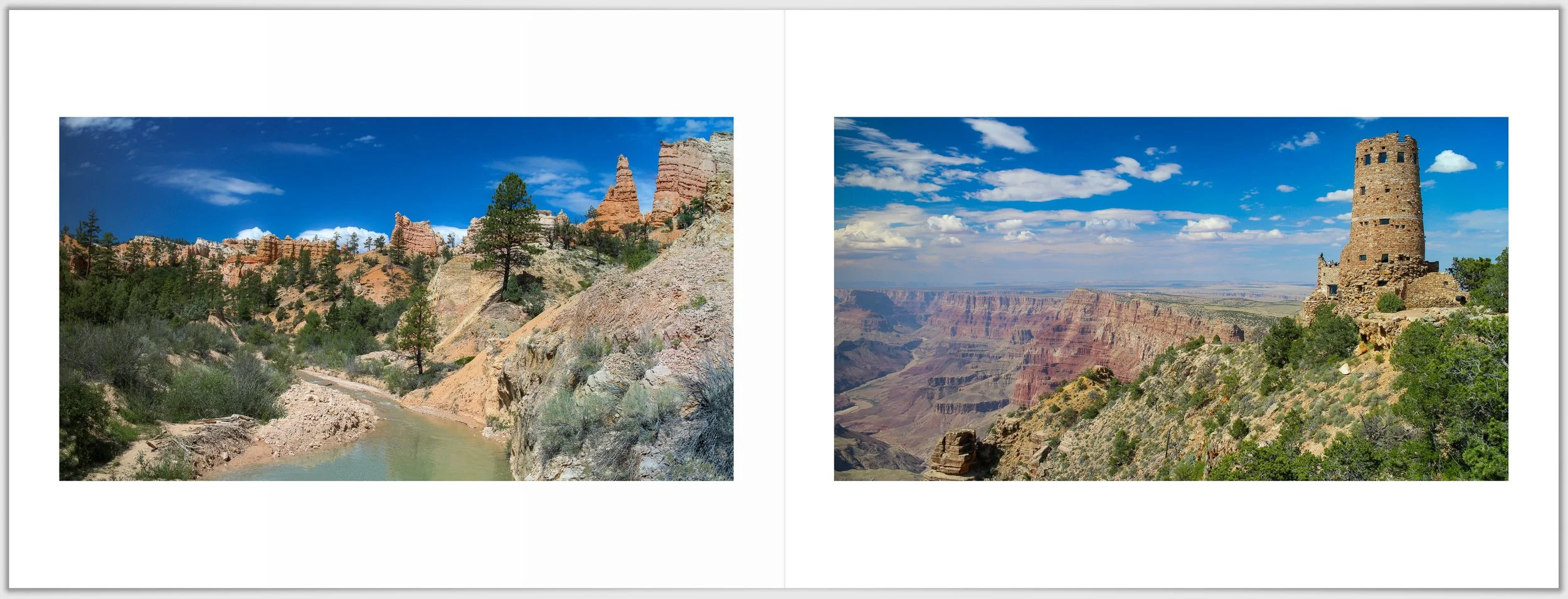 Schermafbeelding 2026-01-24 130357.jpg