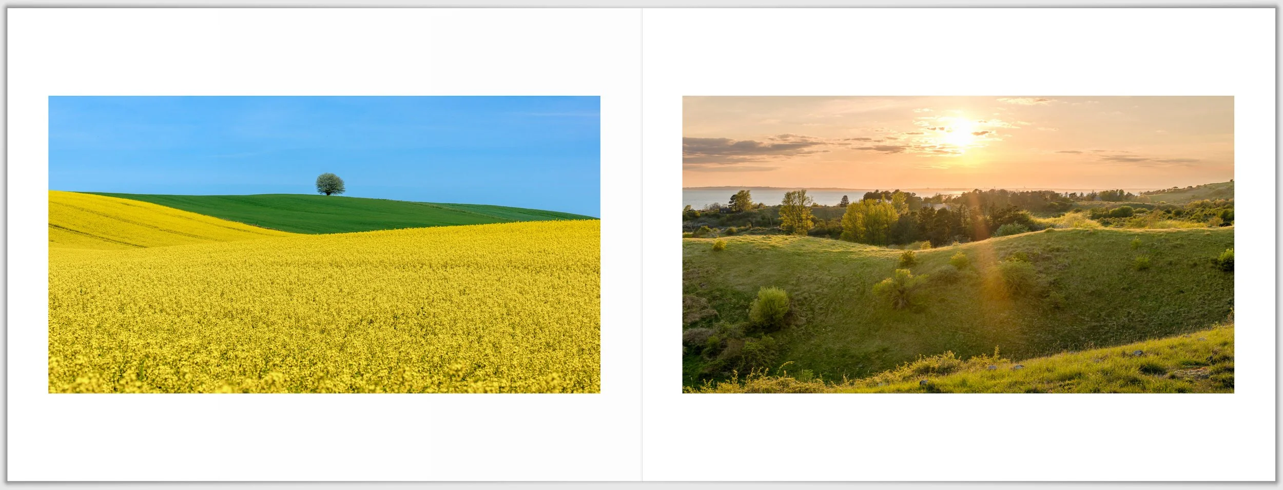 Schermafbeelding 2026-01-24 124734.jpg