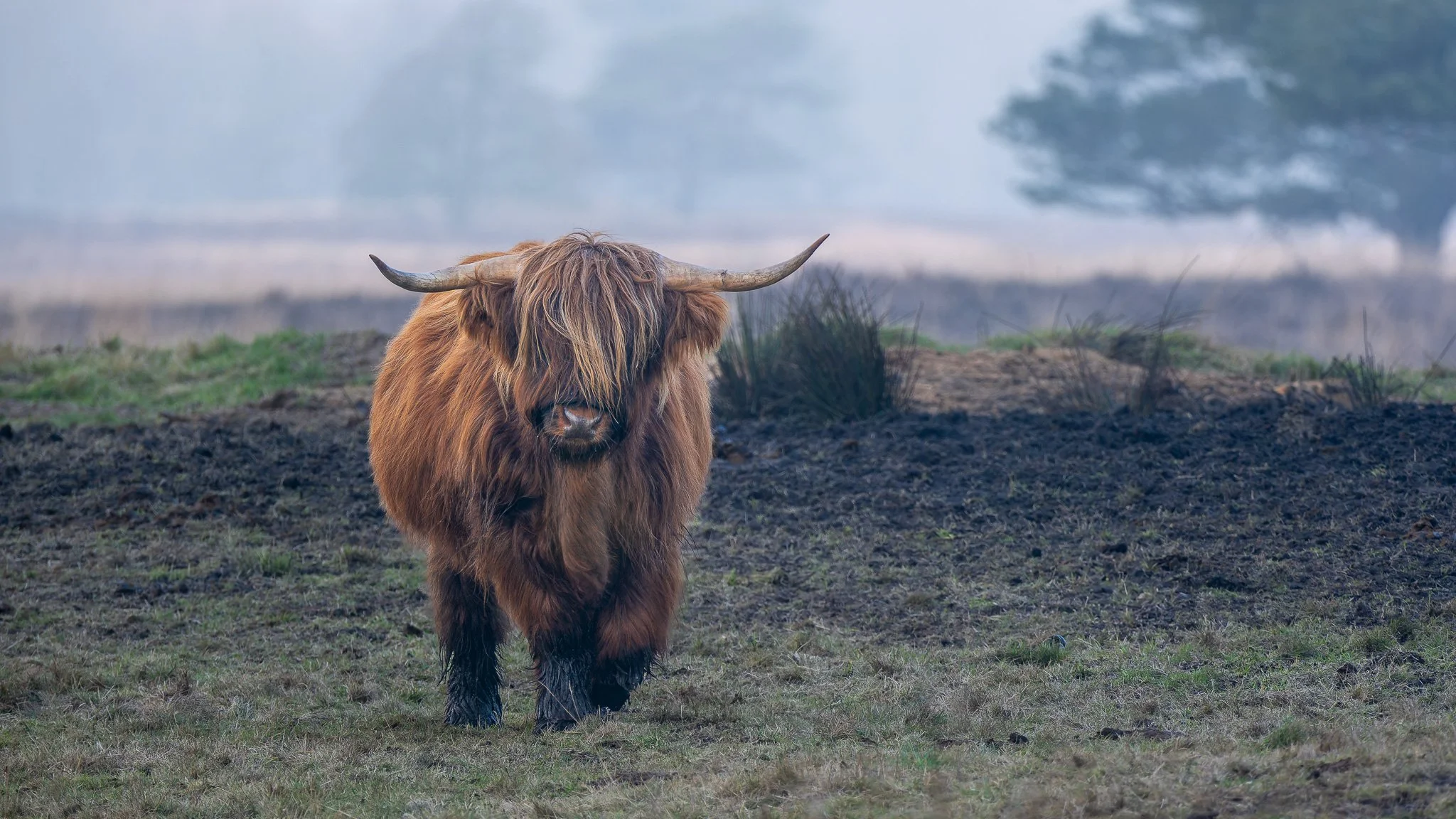 XS200358-DxO_DeepPRIME XD2s.jpg