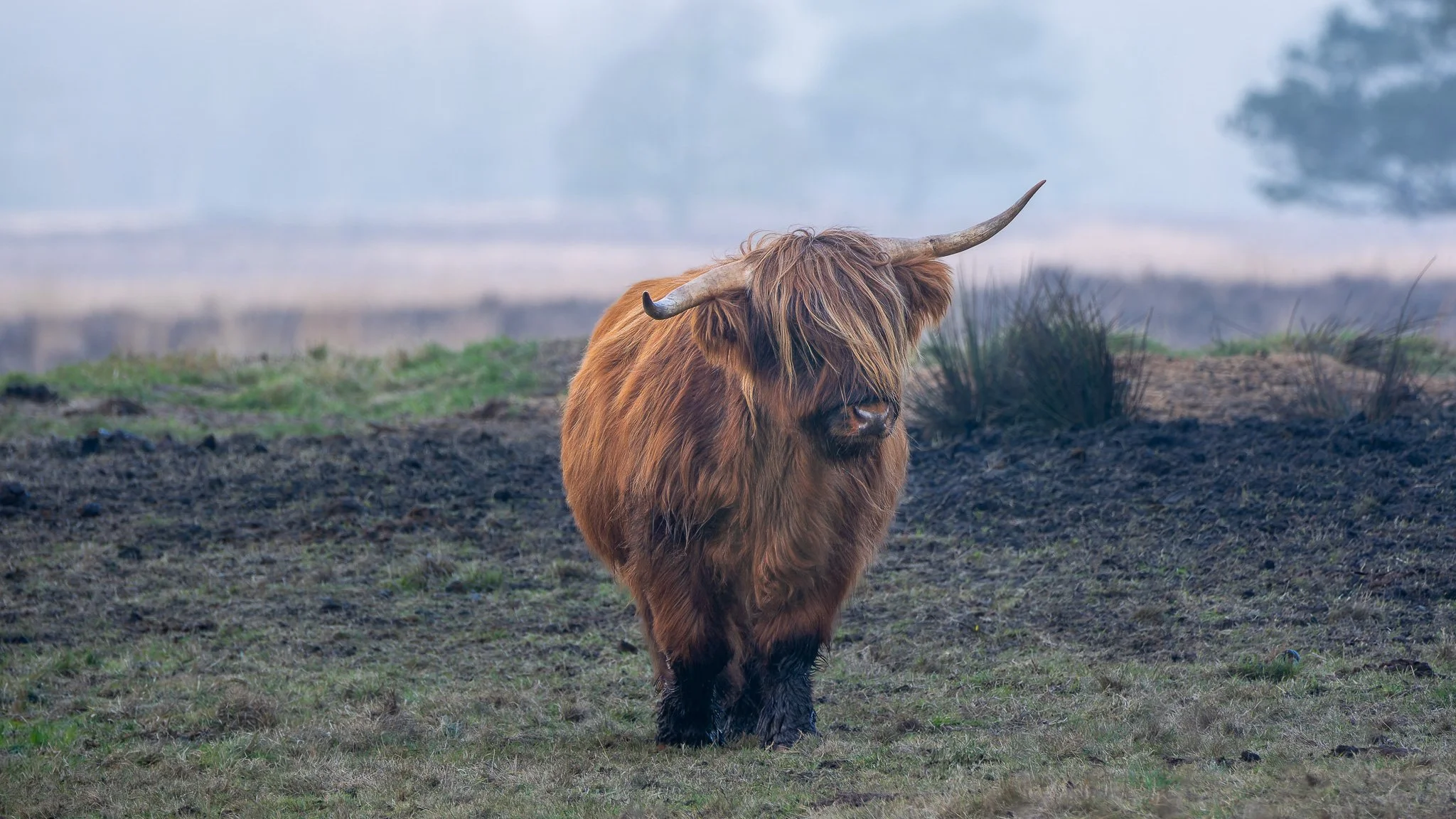 XS200354-DxO_DeepPRIME XD2s.jpg