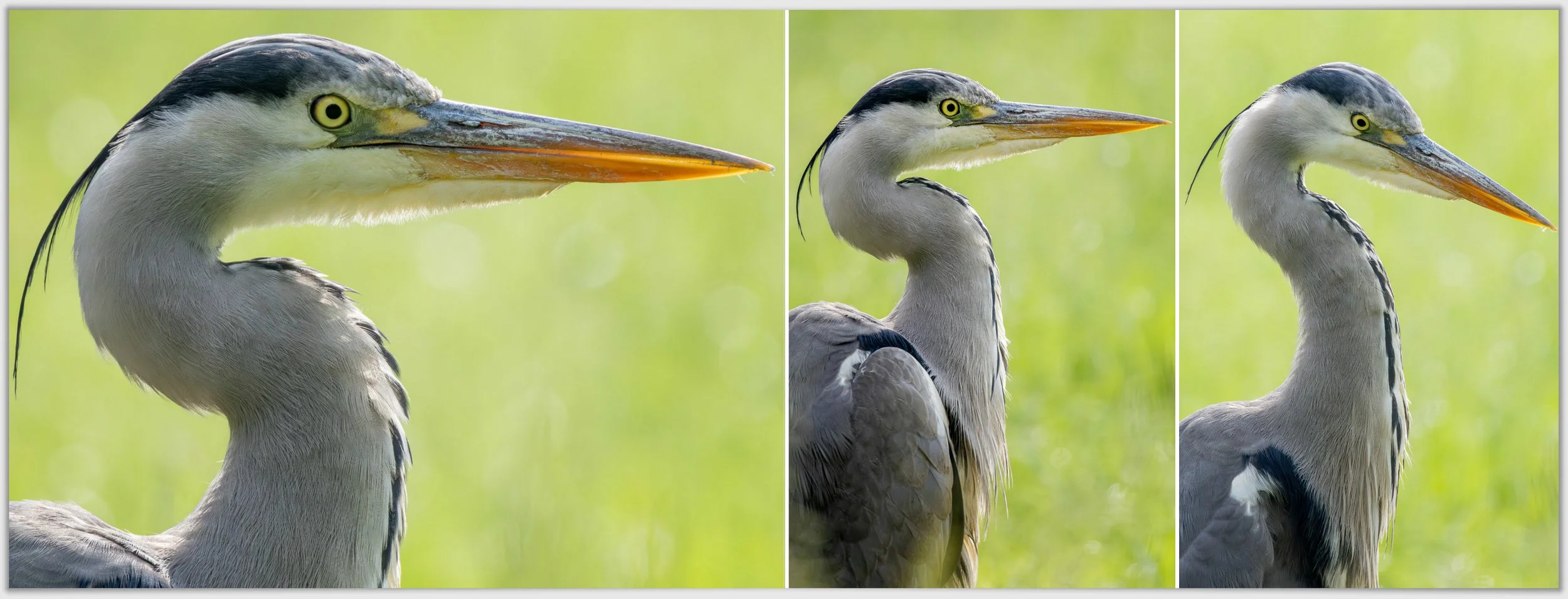 Schermafbeelding 2026-01-24 124145.jpg