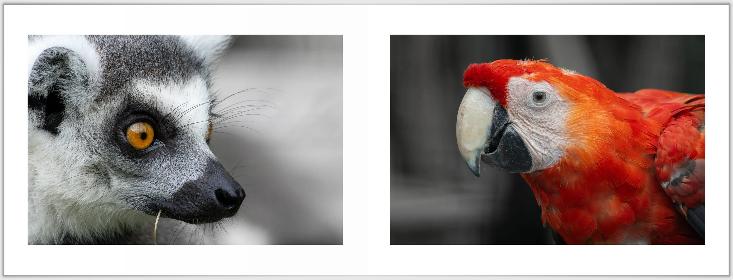 Schermafbeelding 2026-01-24 124243.jpg