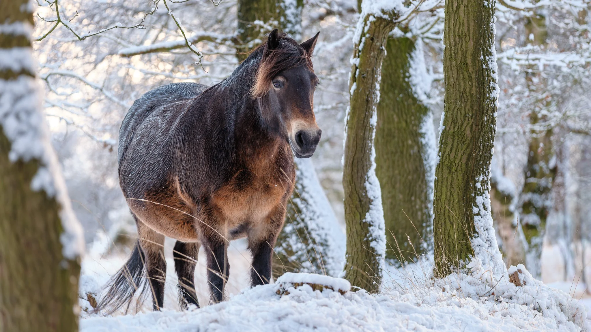 XT5X3878-DxO_DeepPRIME XD3 X-Trans.jpg