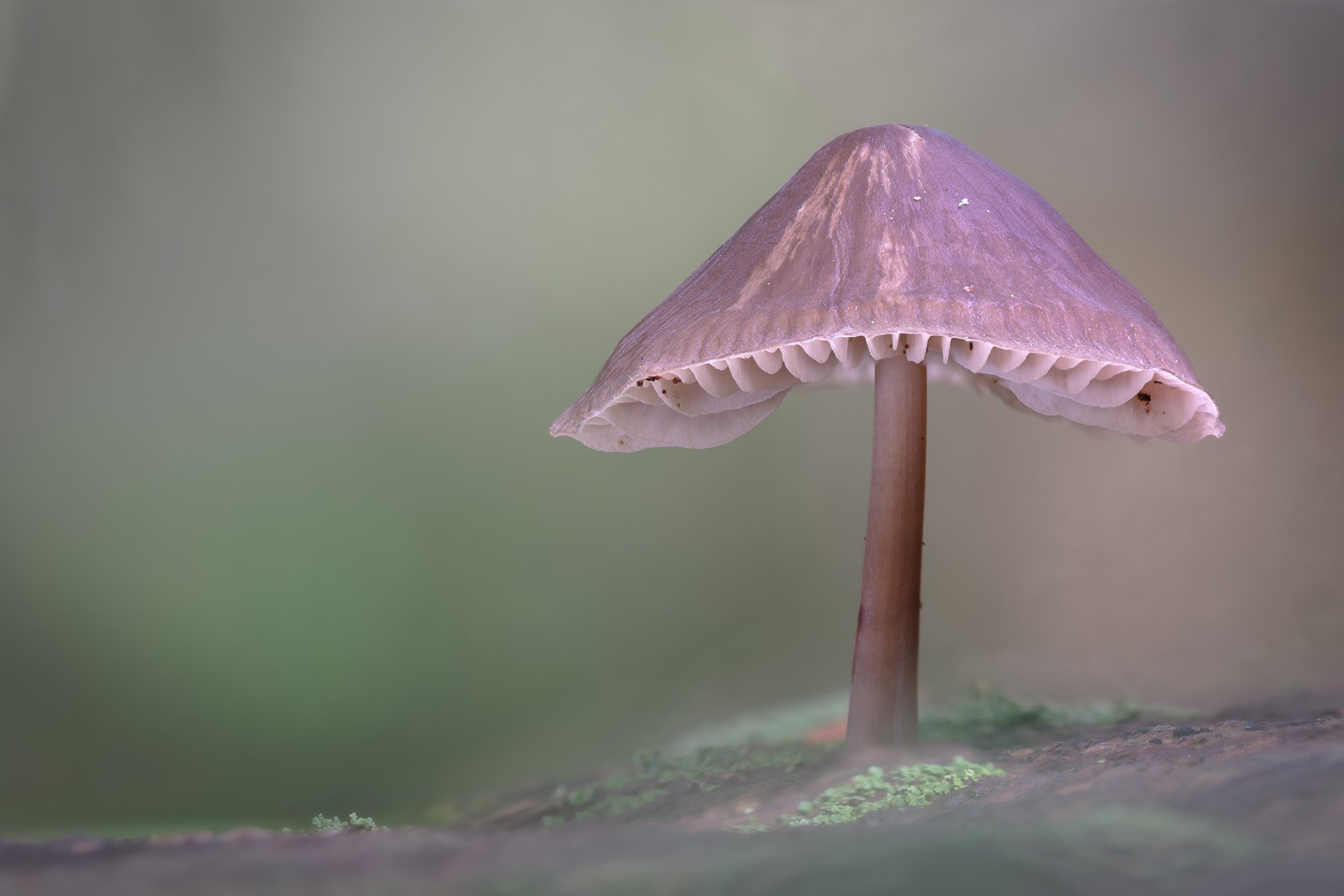 2025-10-09 16-51-35 (B,R20,S4).jpg