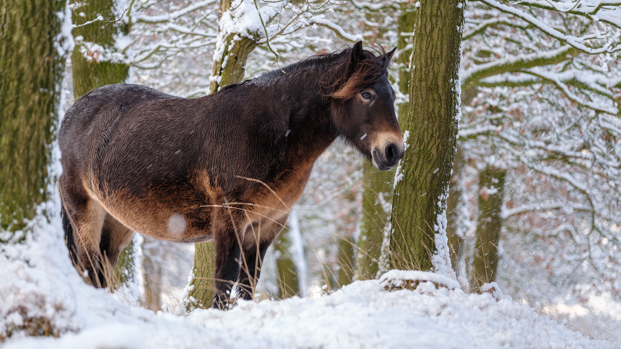 XT5X4193-DxO_DeepPRIME XD3 X-Trans.jpg