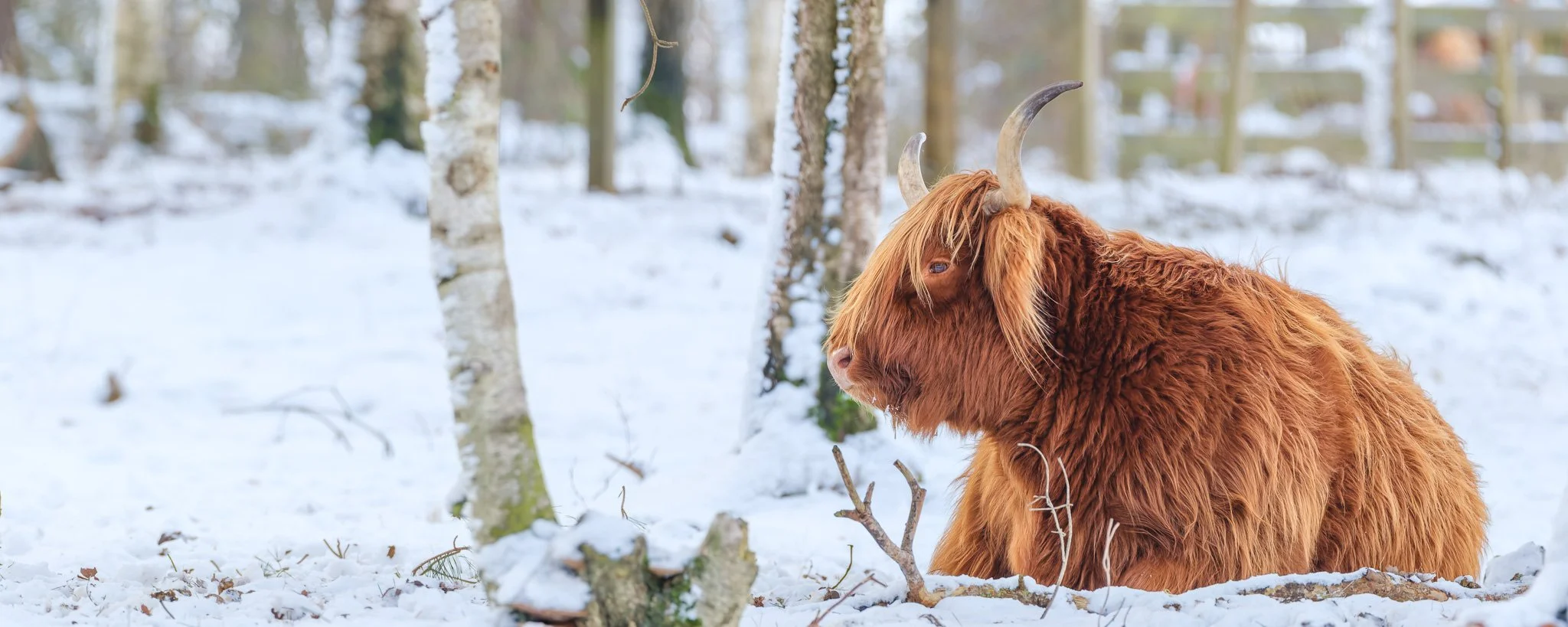 XH2O1615-DxO_DeepPRIME XD3 X-Trans-Pano-2.jpg