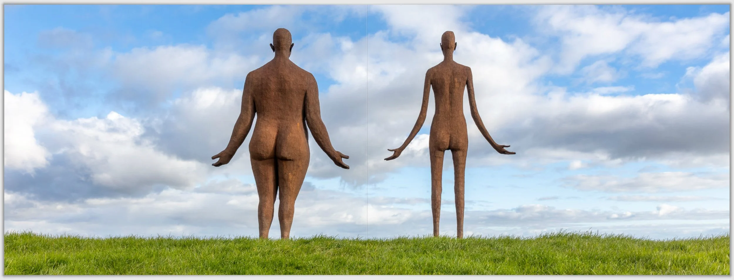 Schermafbeelding 2026-01-24 124123.jpg