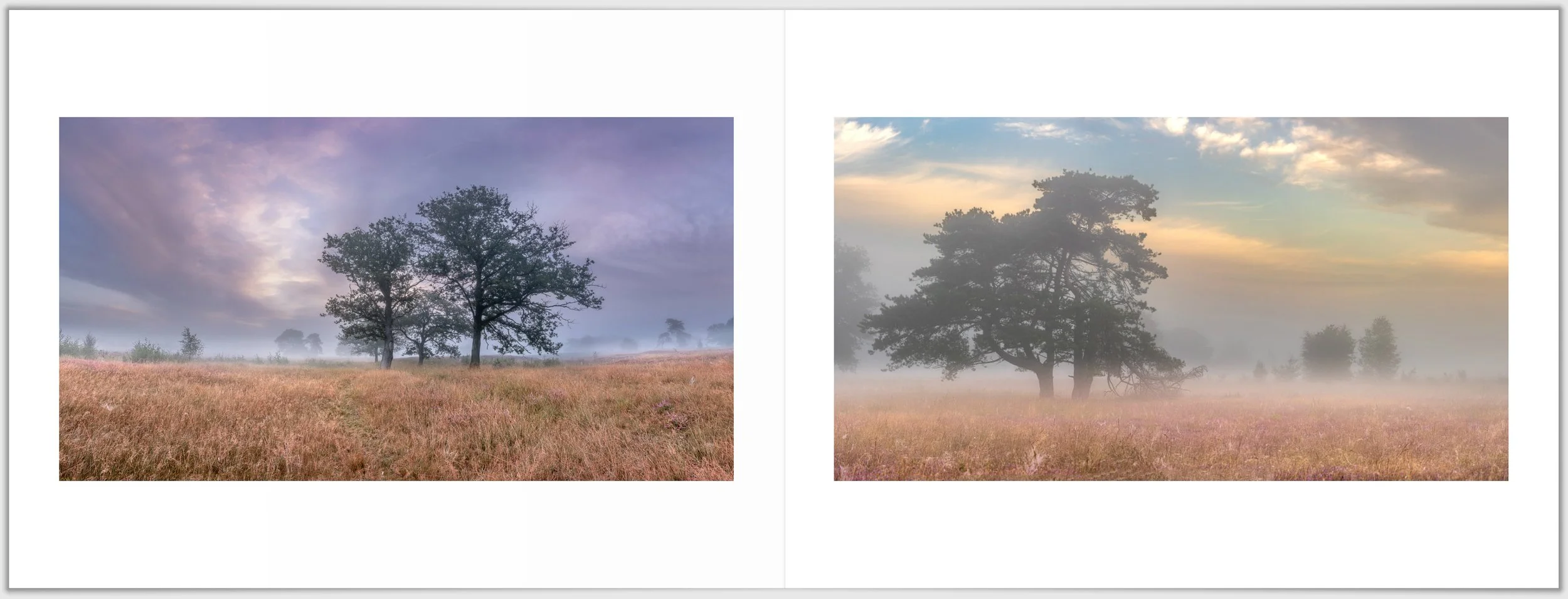 Schermafbeelding 2026-01-24 124303.jpg