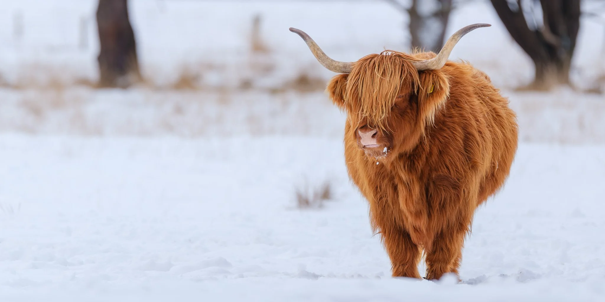 XH2O1283-DxO_DeepPRIME XD3 X-Trans-Pano.jpg