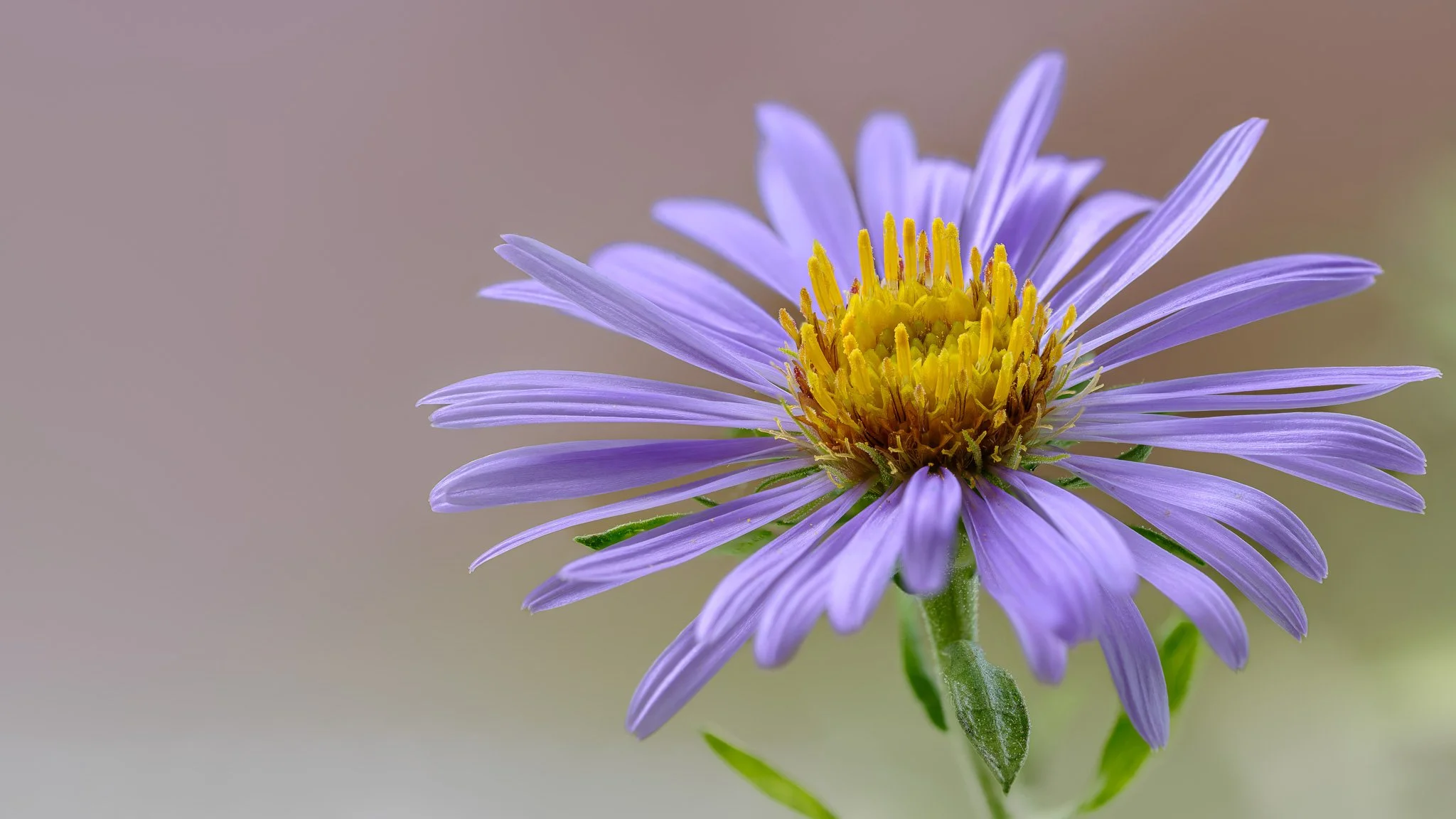 2025-08-29 16-36-14 (B,R8,S4)-8.jpg