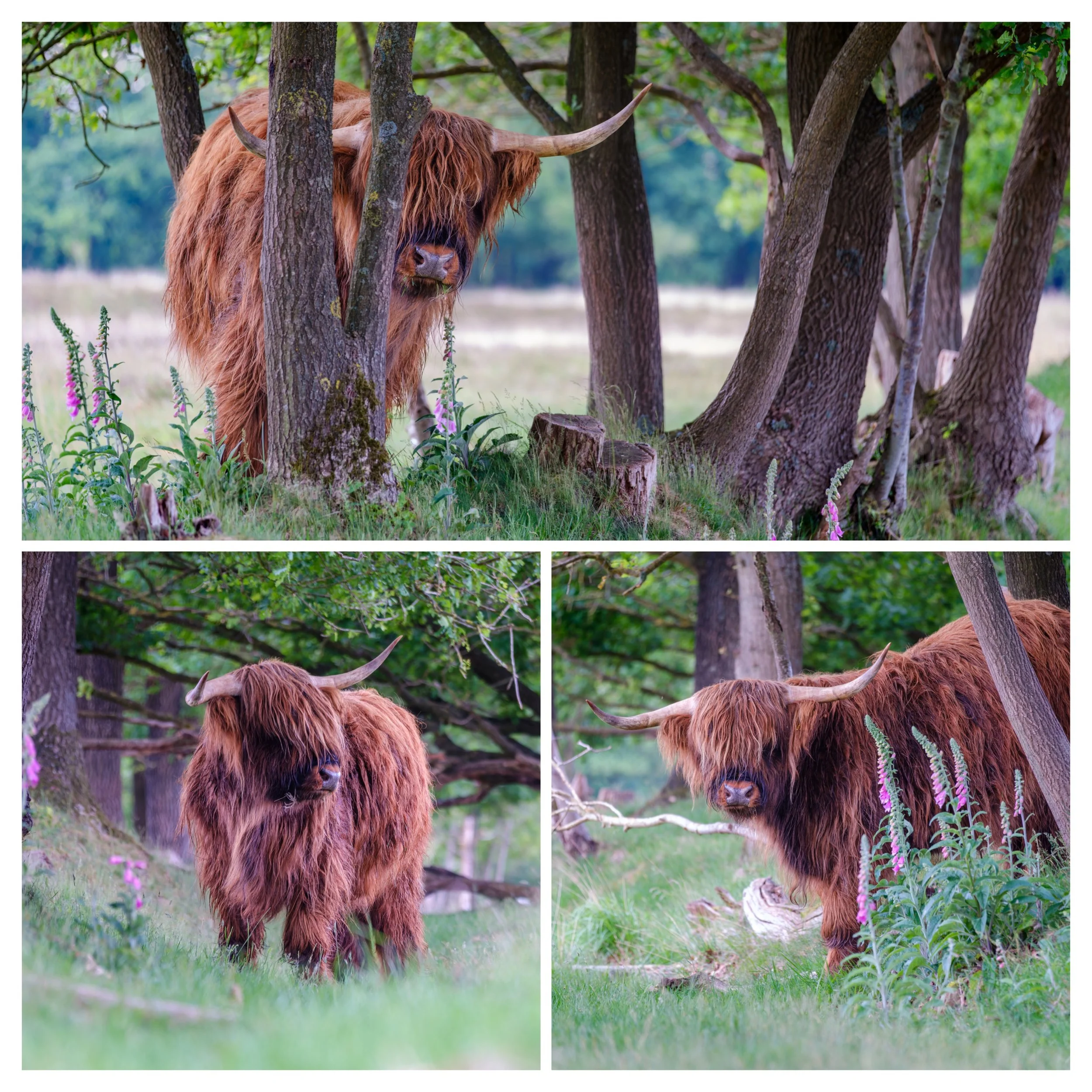 Fotomomenten van 2025