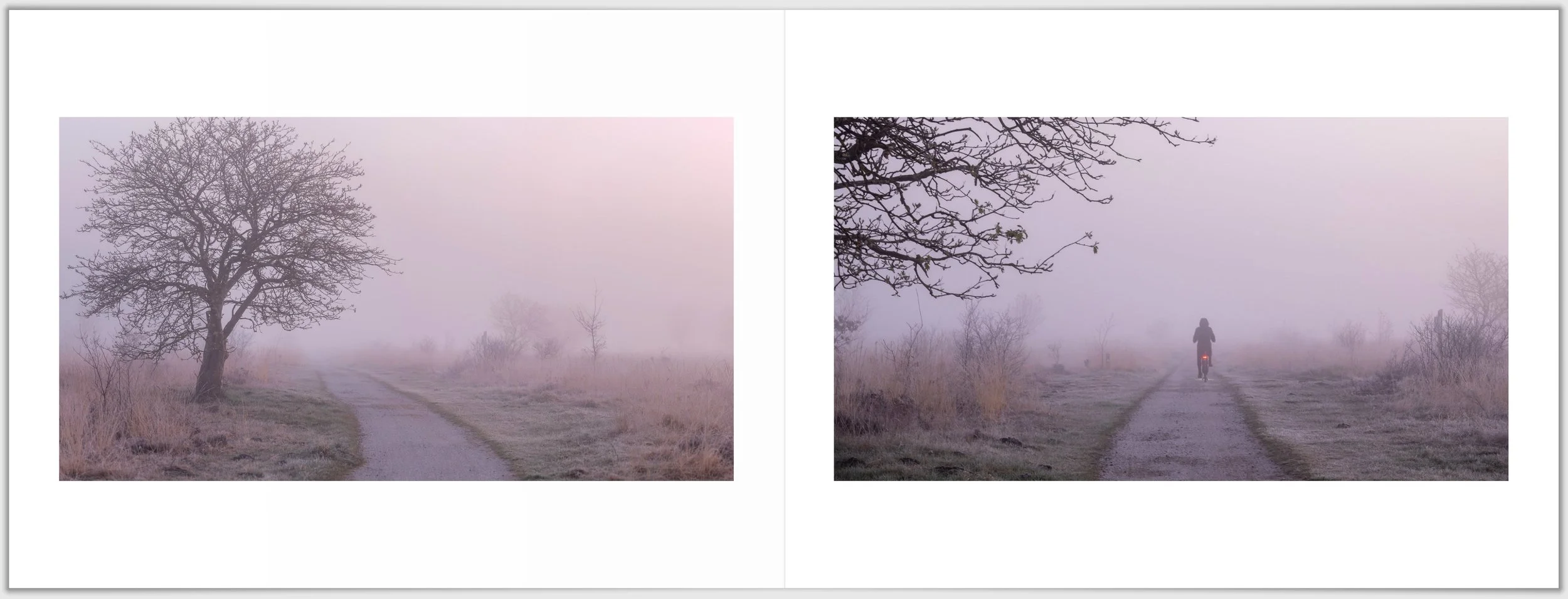 Schermafbeelding 2026-01-24 124642.jpg