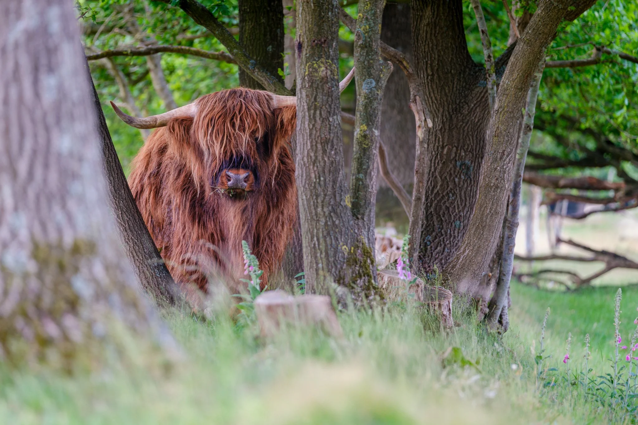 XT5X3182-DxO_DeepPRIME XD2s_XD-2.jpg