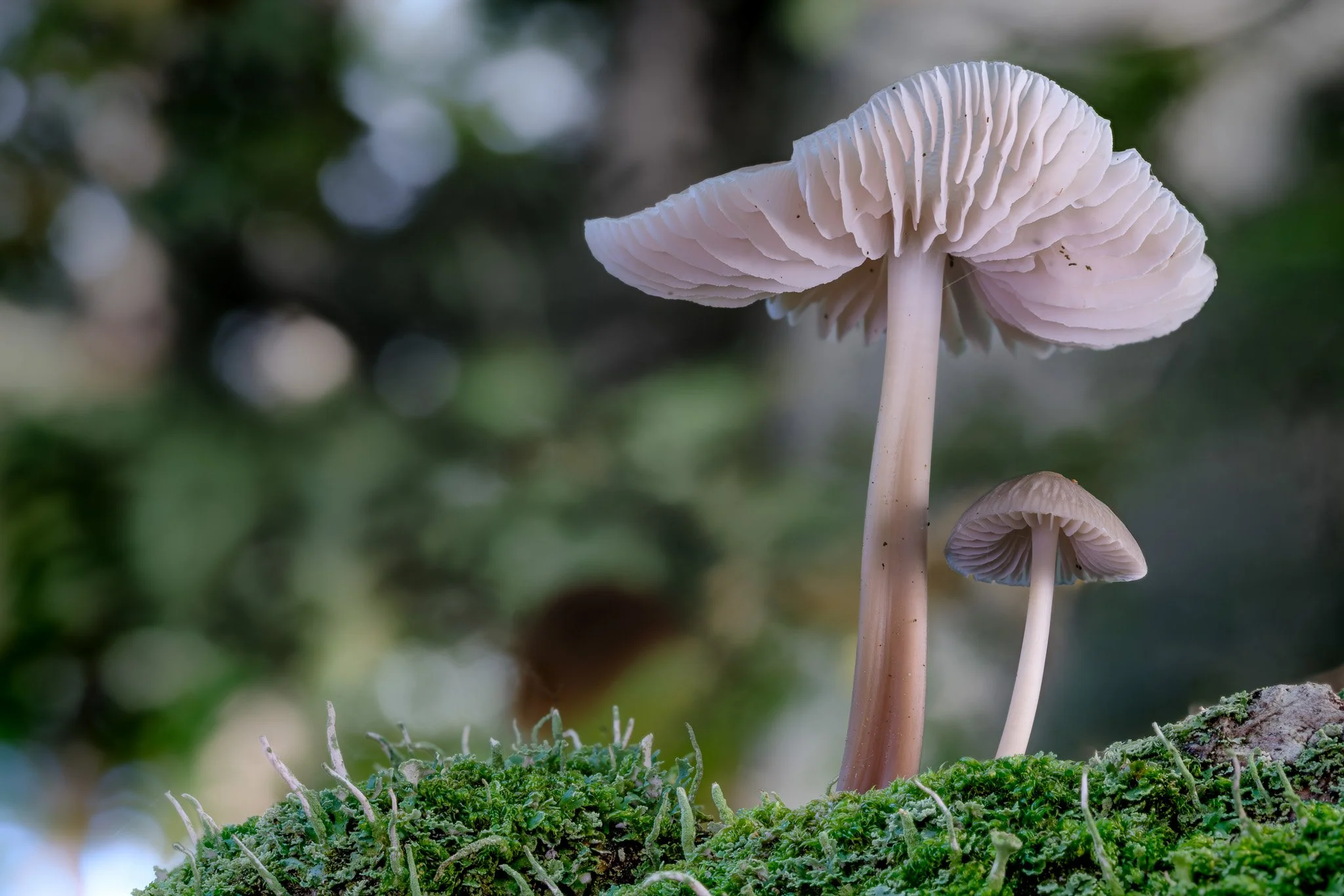 2025-10-09 17-10-00 (C,S4).jpg