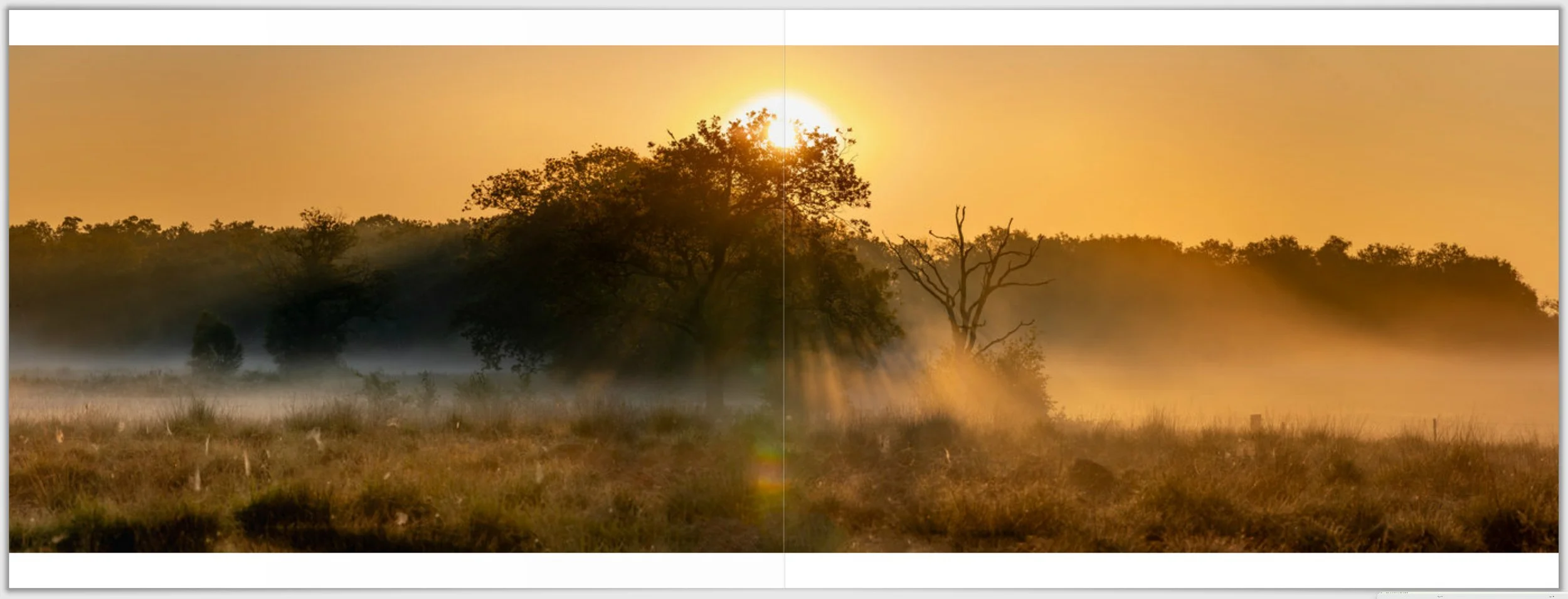 Schermafbeelding 2026-01-24 124213.jpg