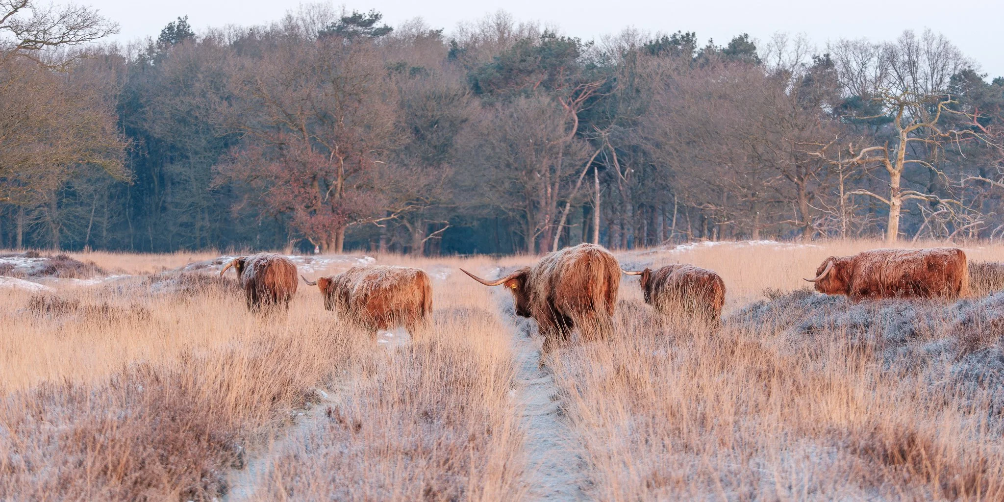 XS201349-DxO_DeepPRIME XD2s.jpg