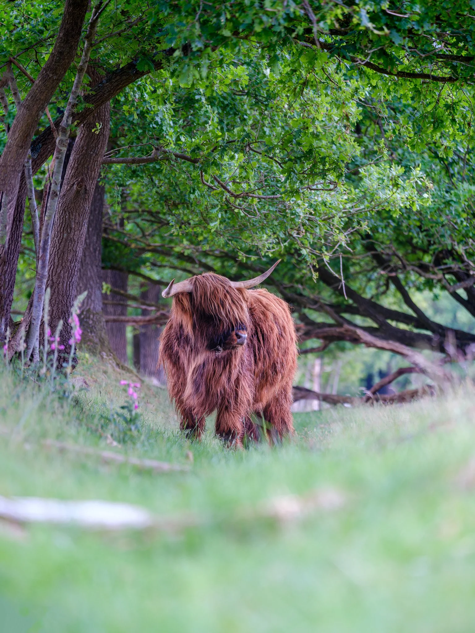 XT5X3113-DxO_DeepPRIME XD2s_XD-Pano.jpg