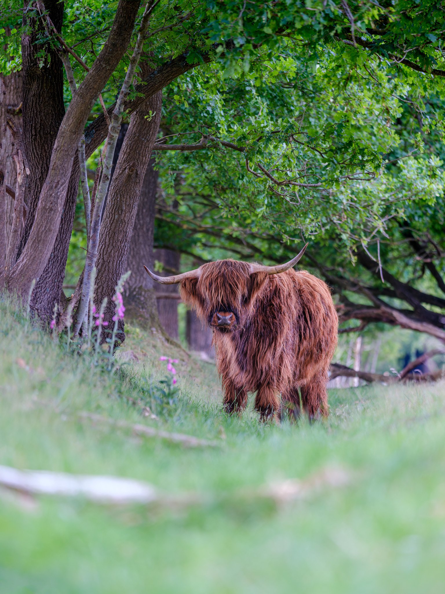 XT5X3090-DxO_DeepPRIME XD2s_XD-Pano.jpg