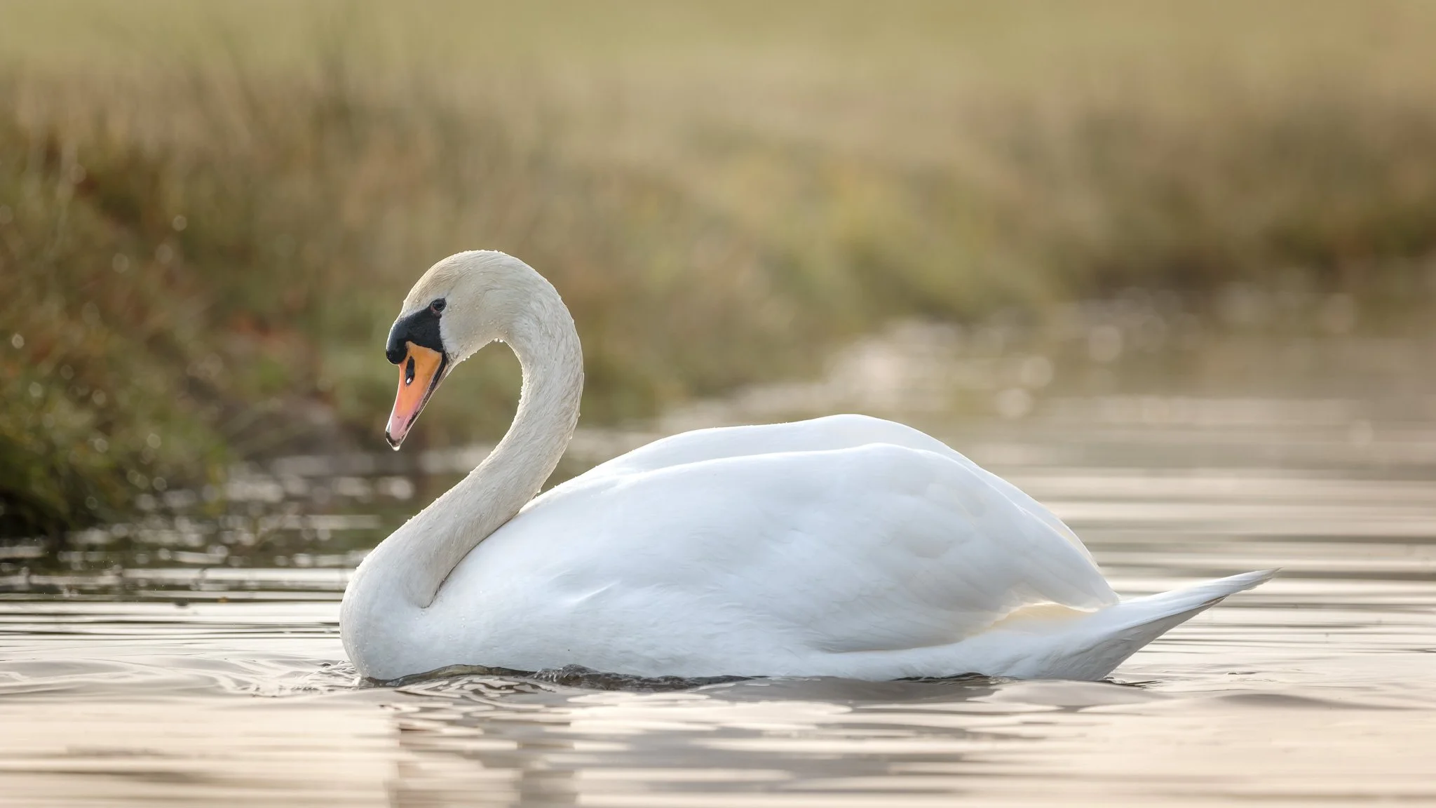 XH203880-DxO_DeepPRIME XD3 X-Trans-2.jpg