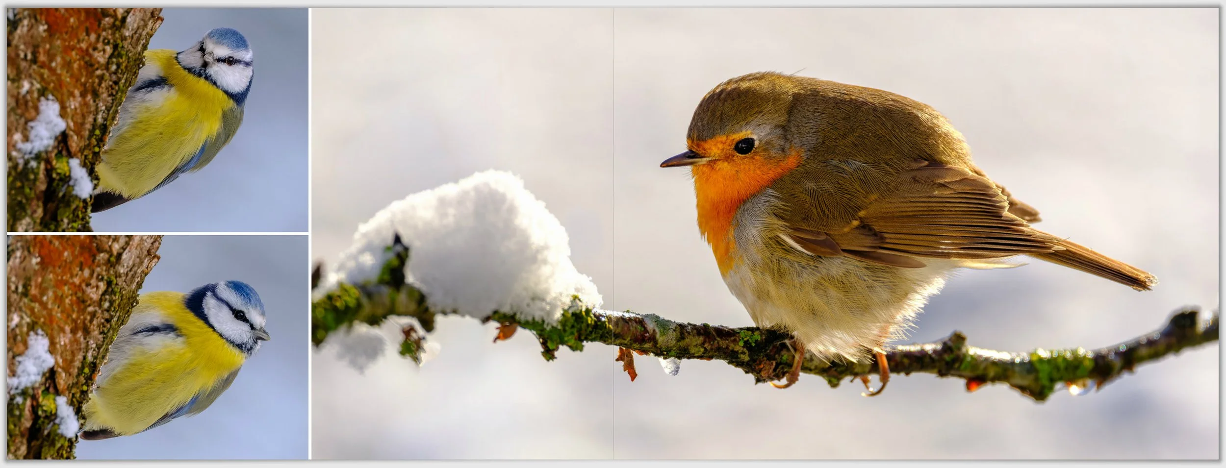 Schermafbeelding 2026-01-24 124959.jpg